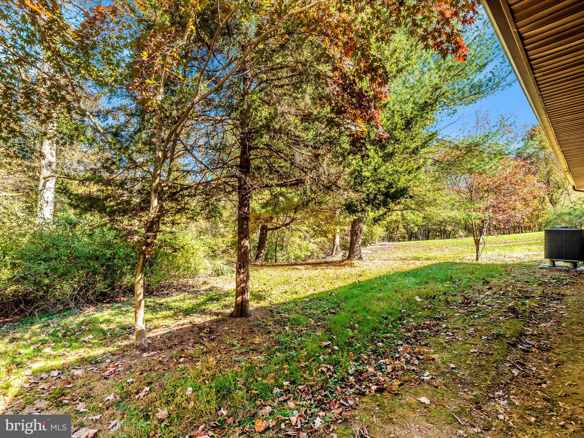 7819 FRIENDS CREEK ROAD