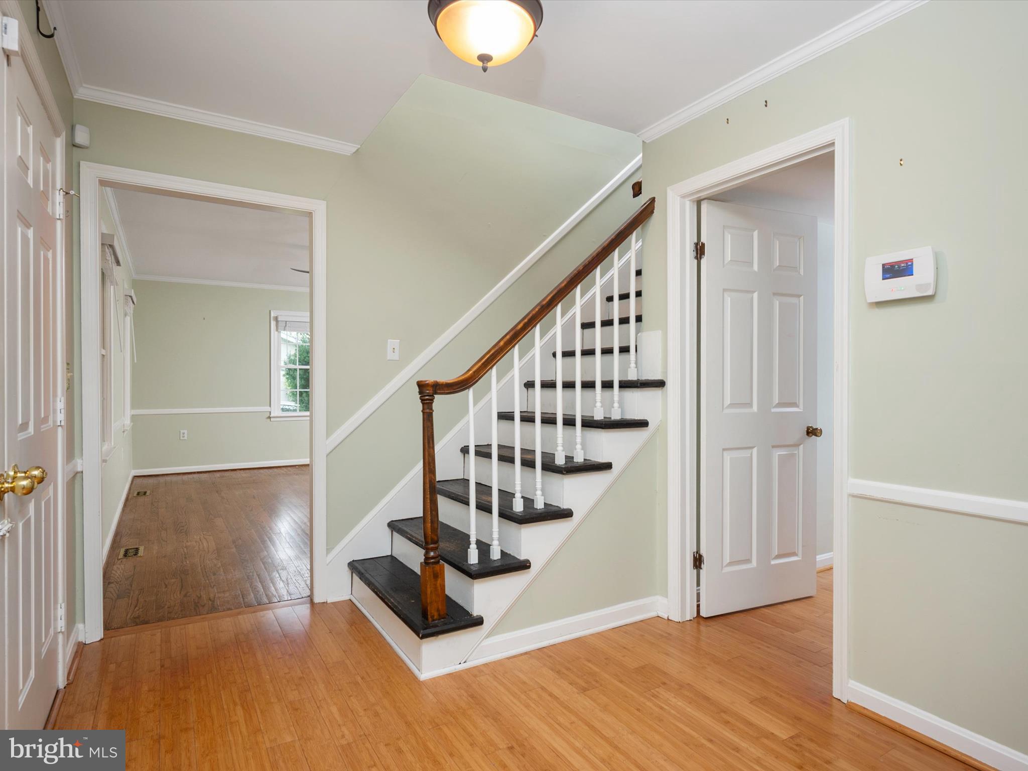 317 COLUMBIA LANE