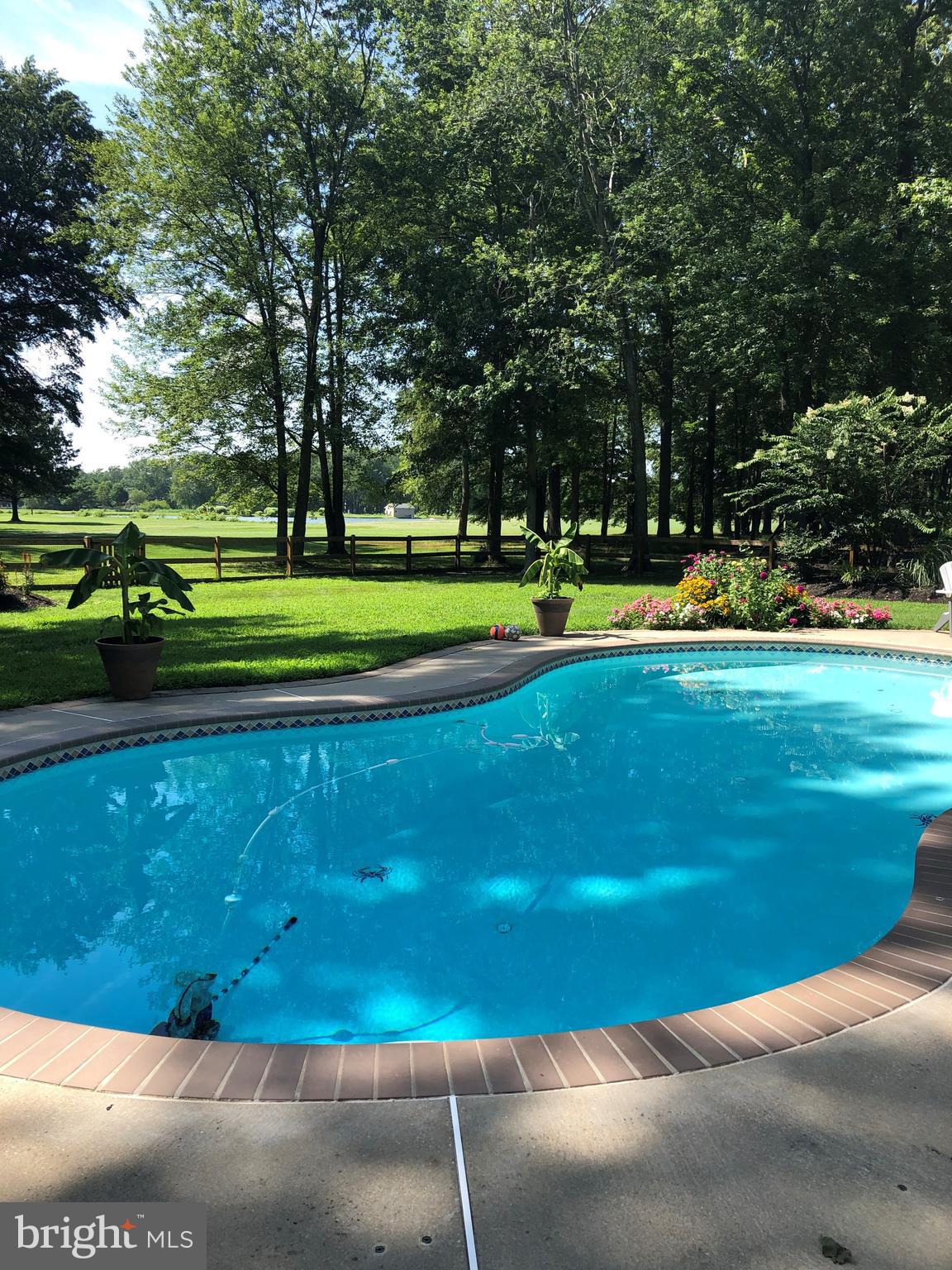 19 GREENWOOD SHOALS