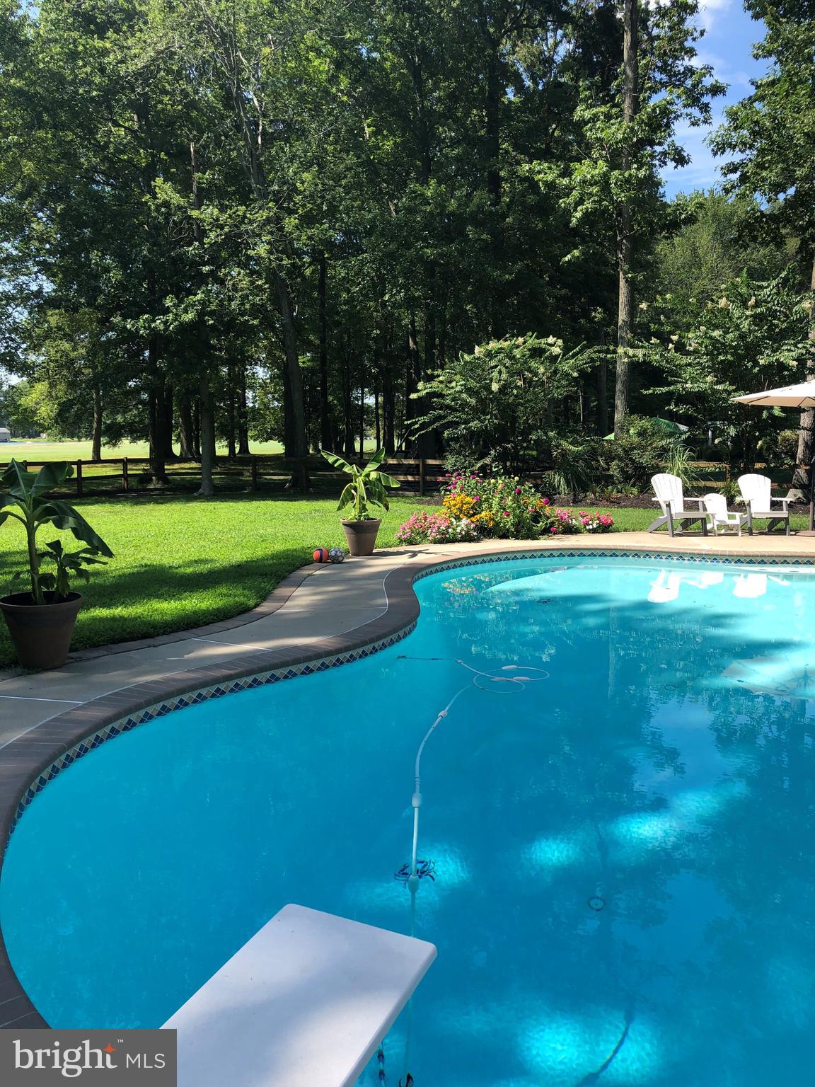 19 GREENWOOD SHOALS
