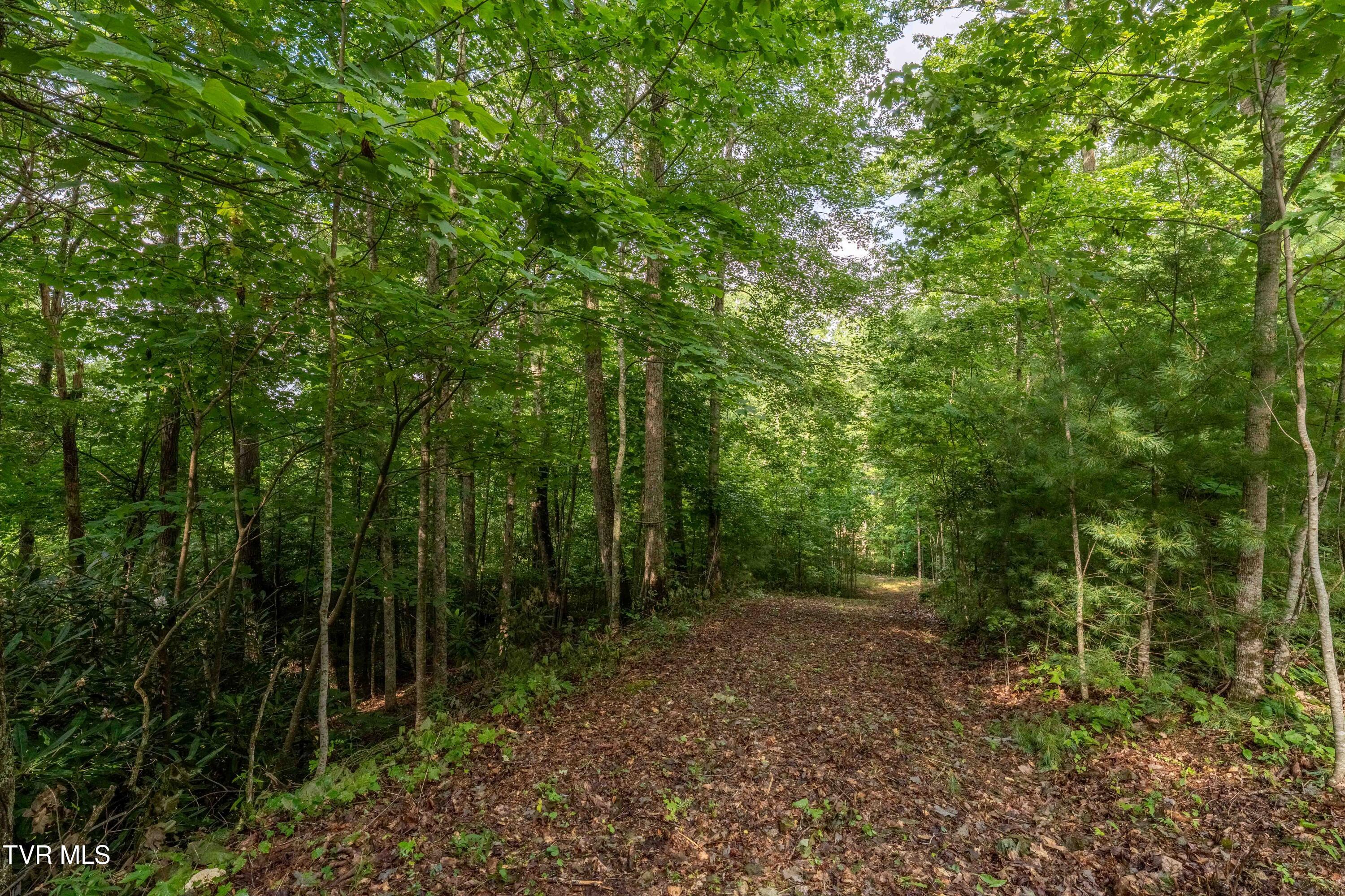 1501 Sprucy Ridge Private Road