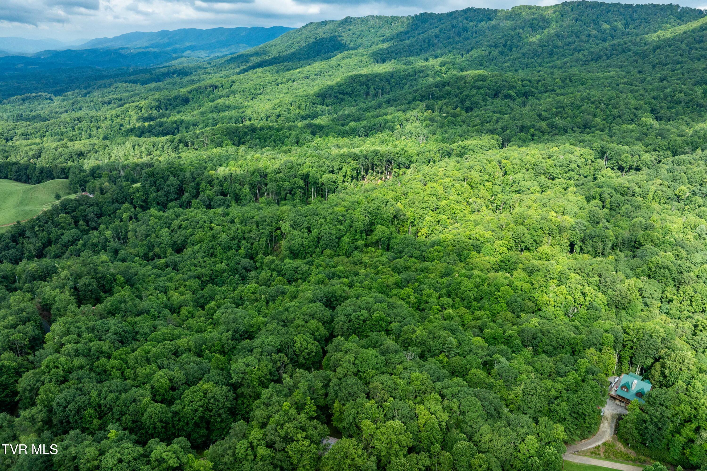 1501 Sprucy Ridge Private Road