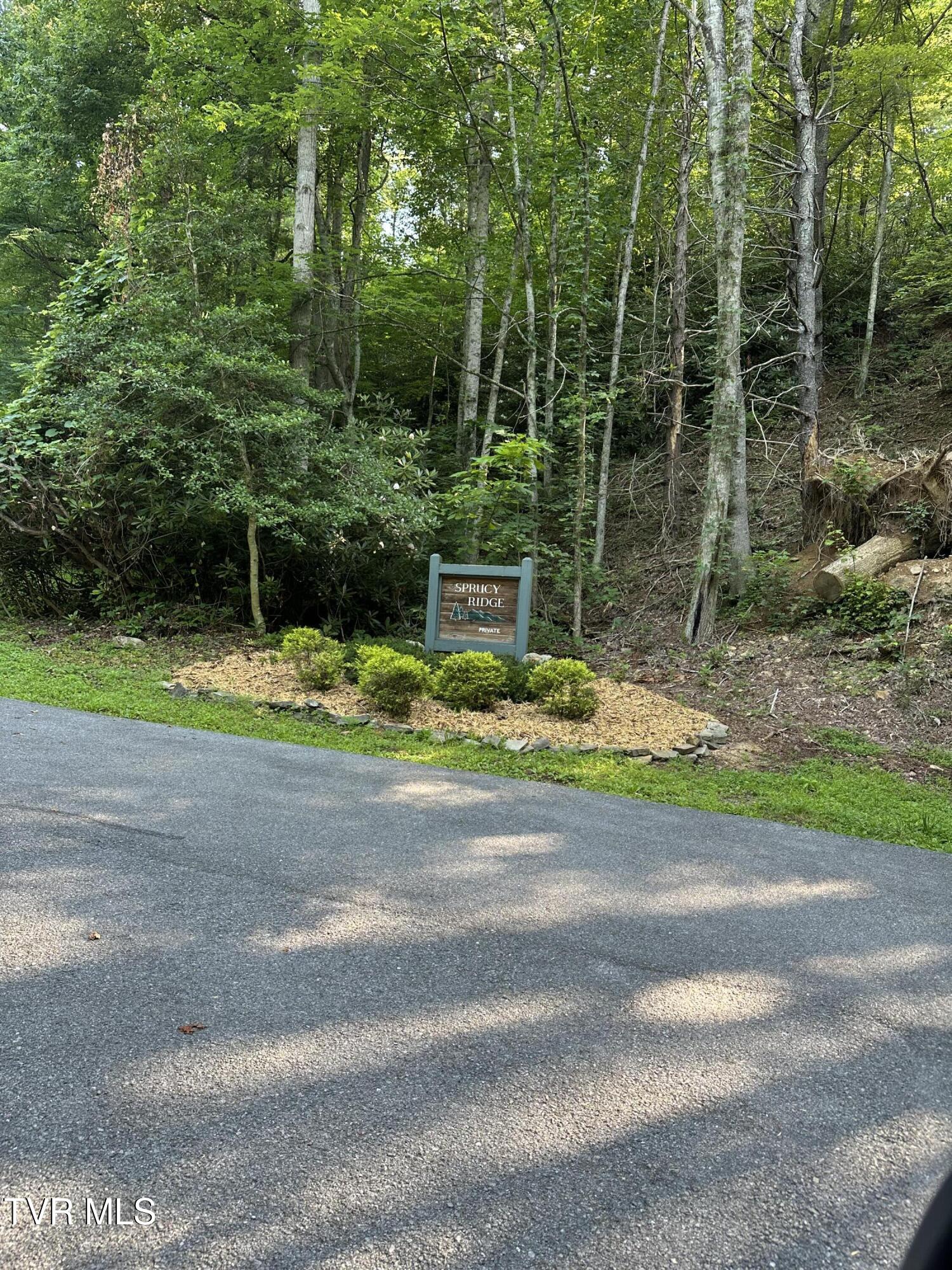 1501 Sprucy Ridge Private Road