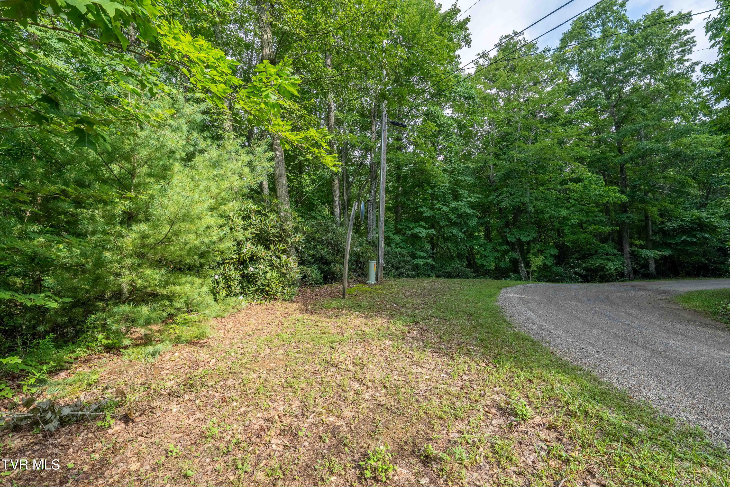 1501 Sprucy Ridge Private Road