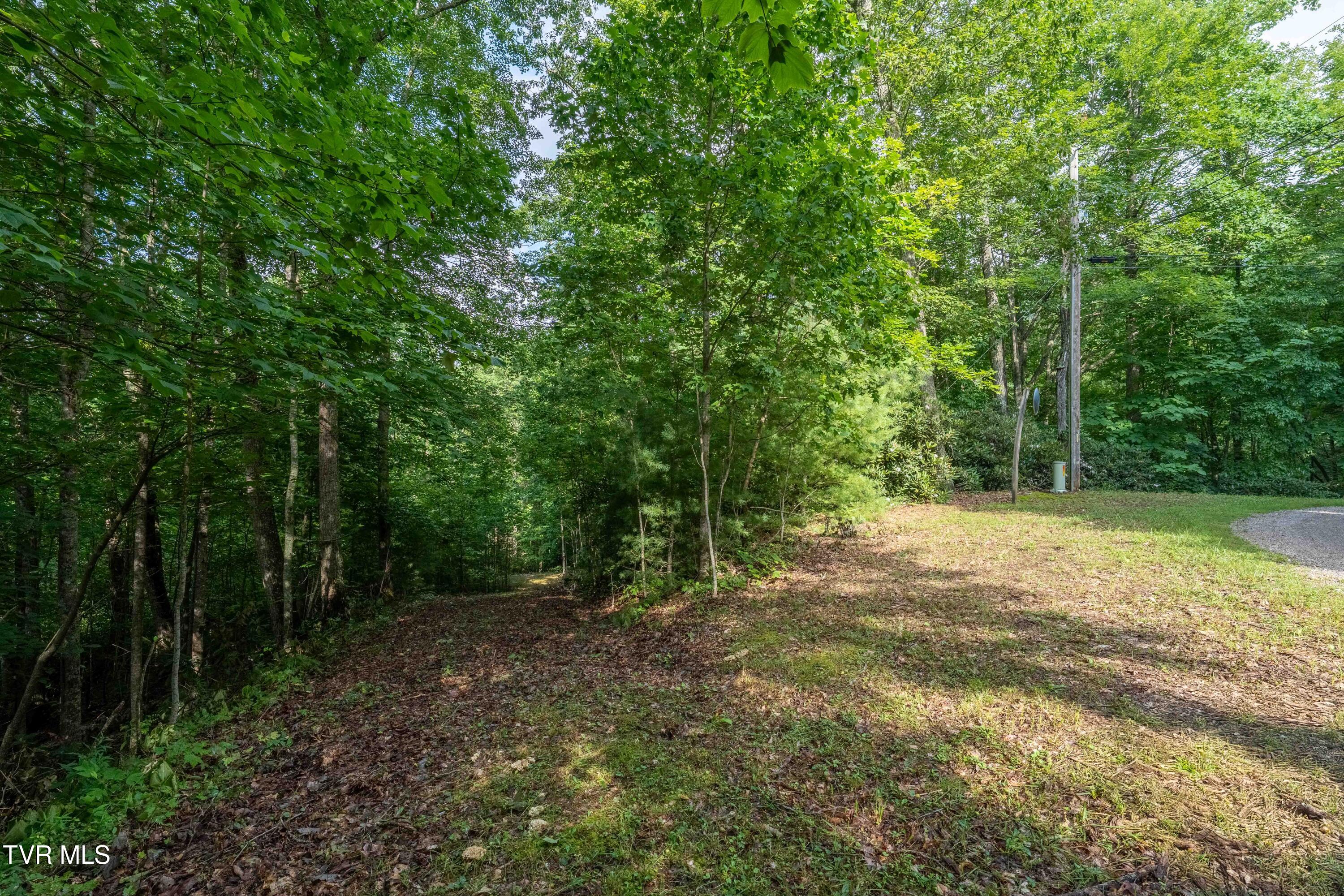 1501 Sprucy Ridge Private Road