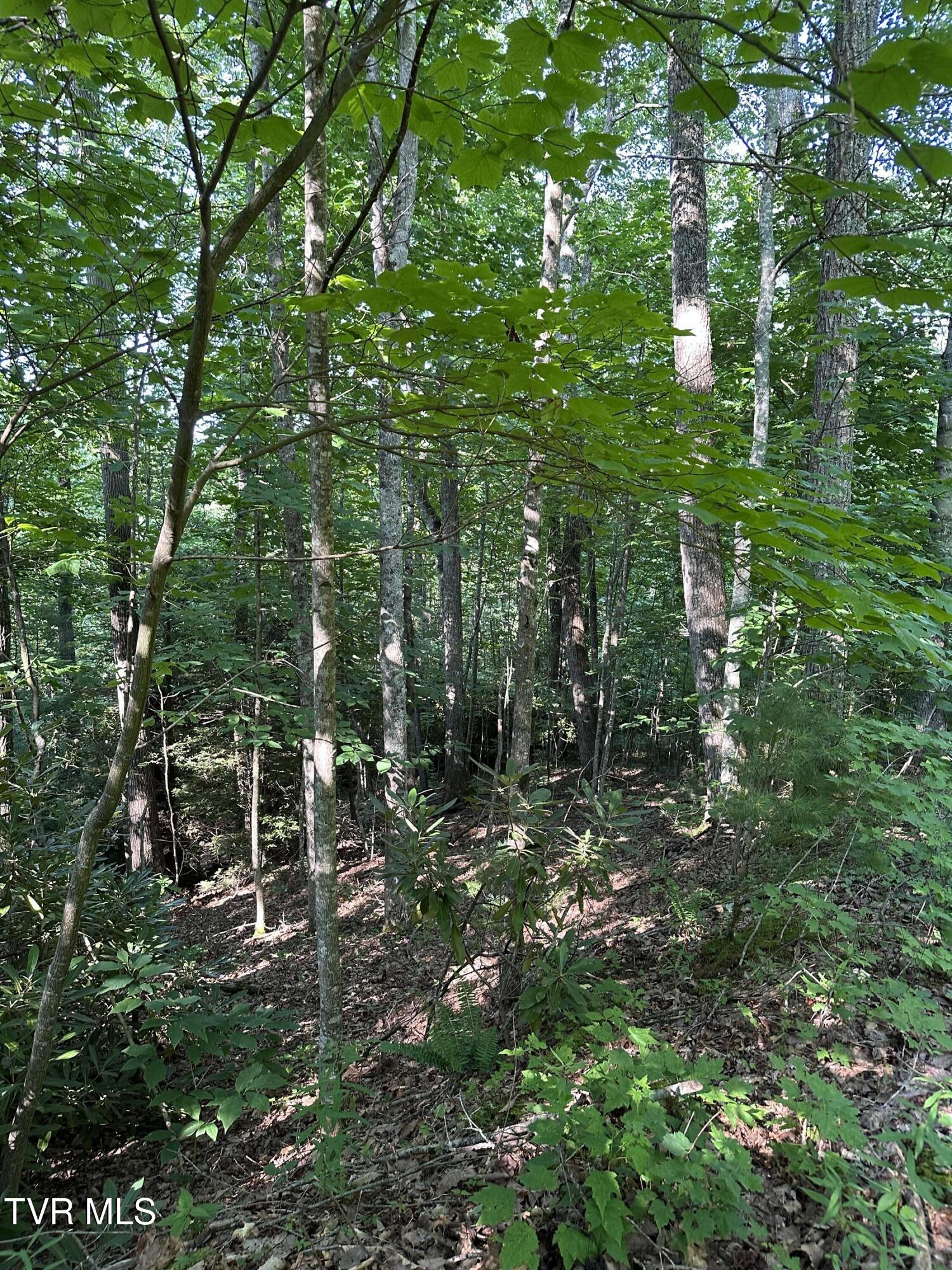 1501 Sprucy Ridge Private Road