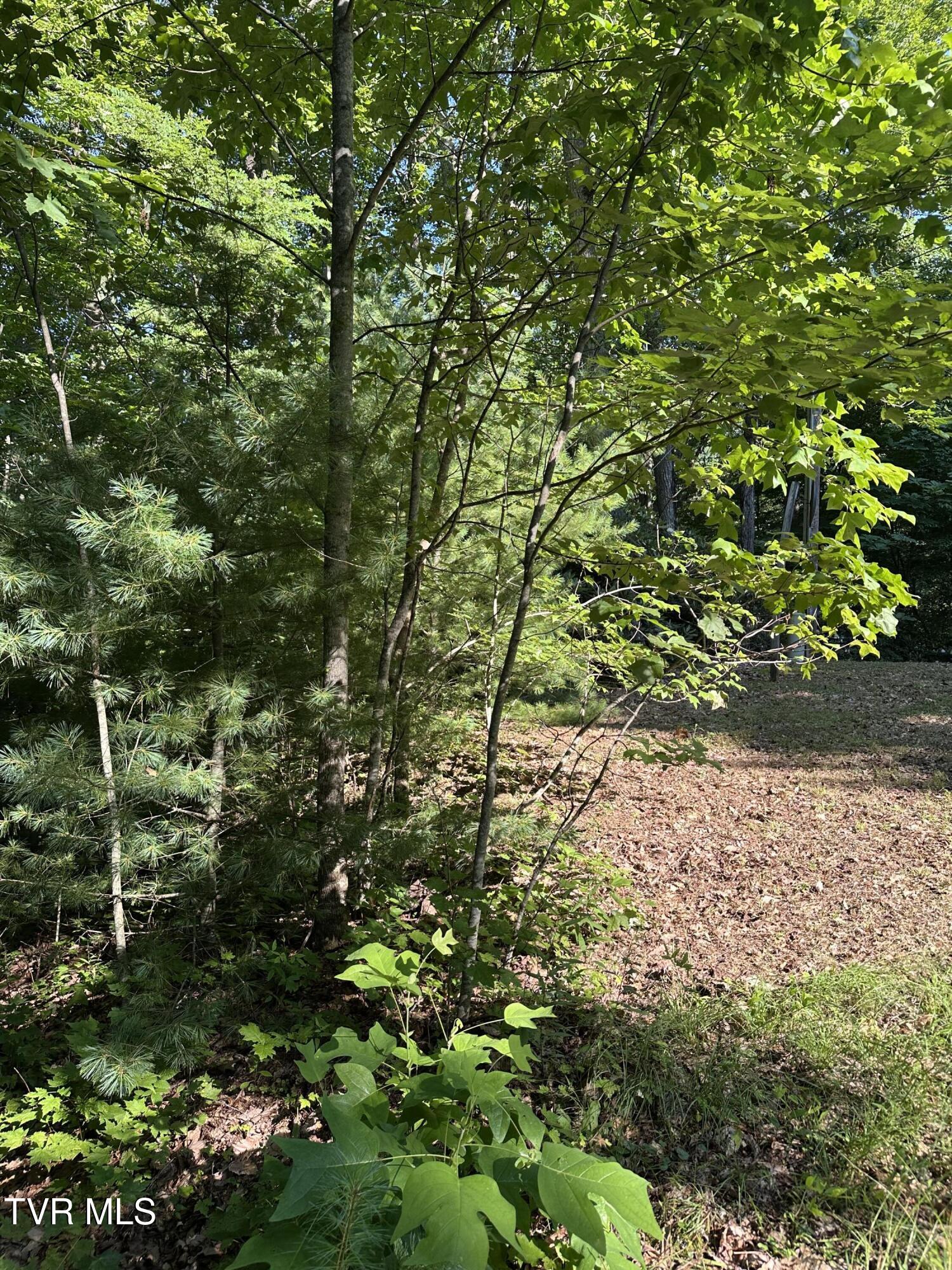 1501 Sprucy Ridge Private Road