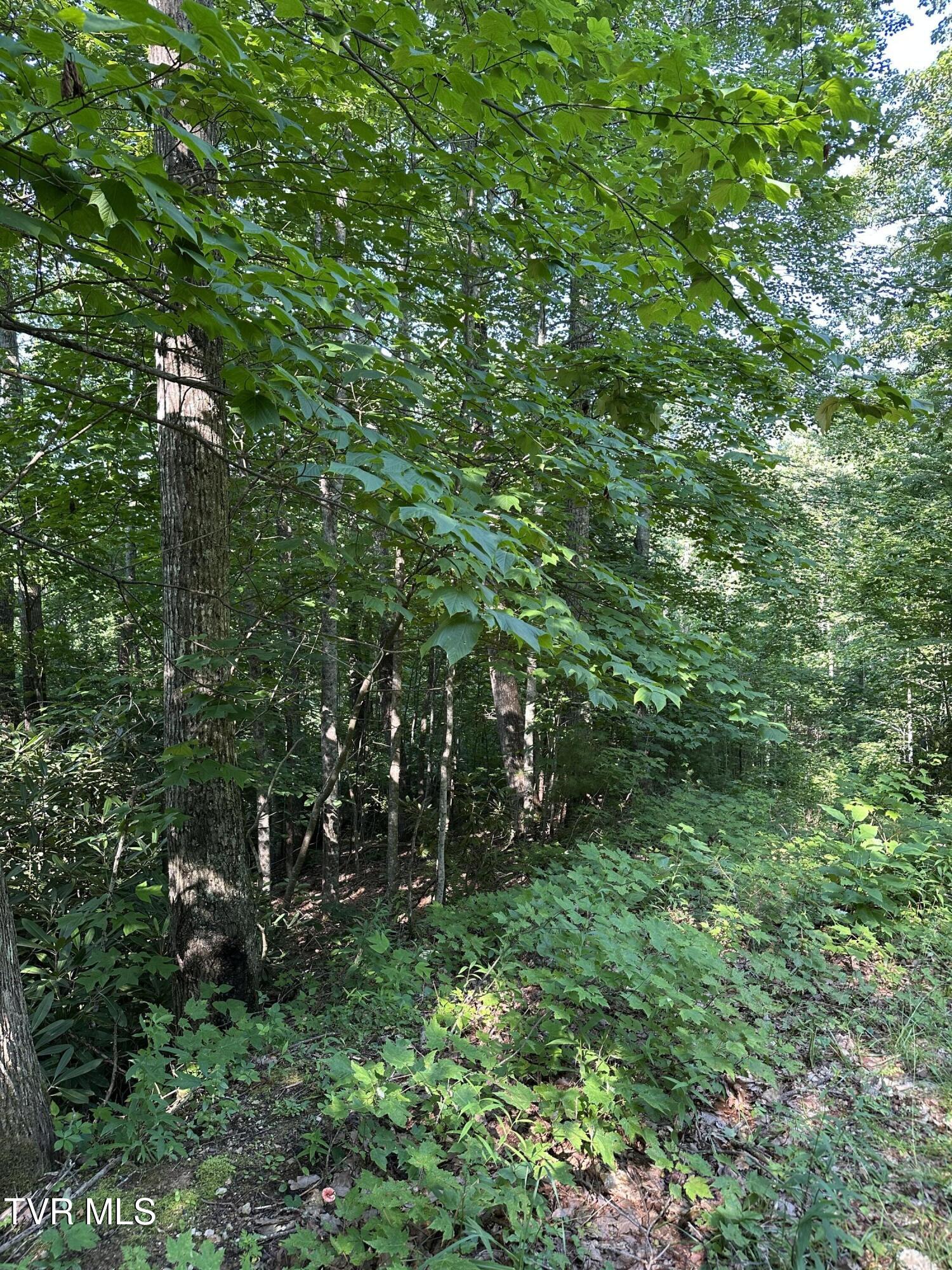 1501 Sprucy Ridge Private Road