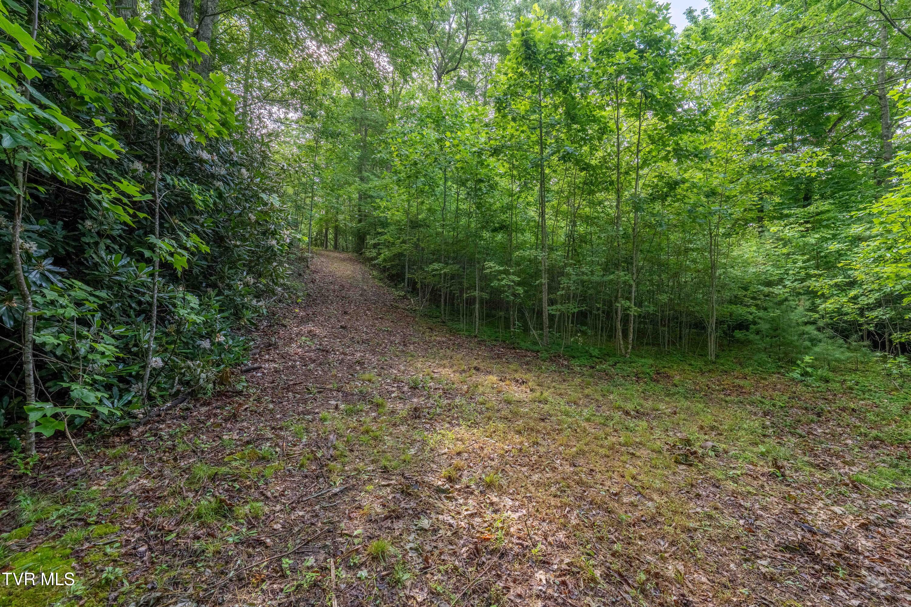 1501 Sprucy Ridge Private Road