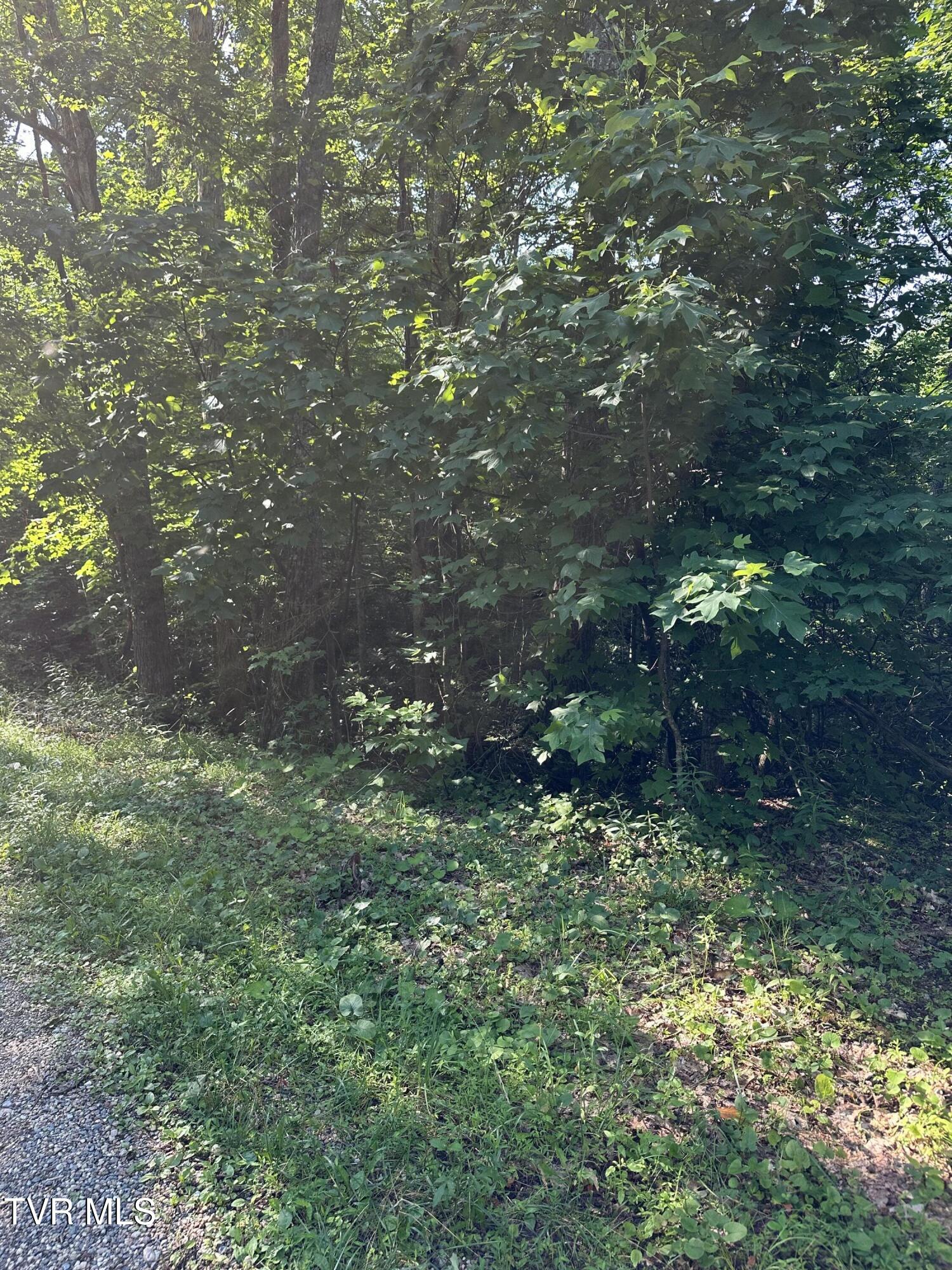 1501 Sprucy Ridge Private Road