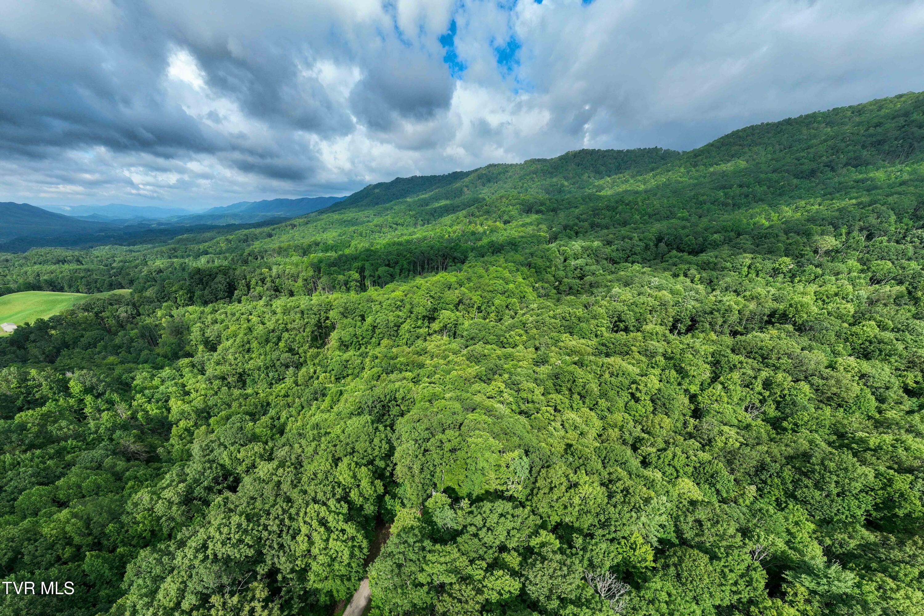 1501 Sprucy Ridge Private Road