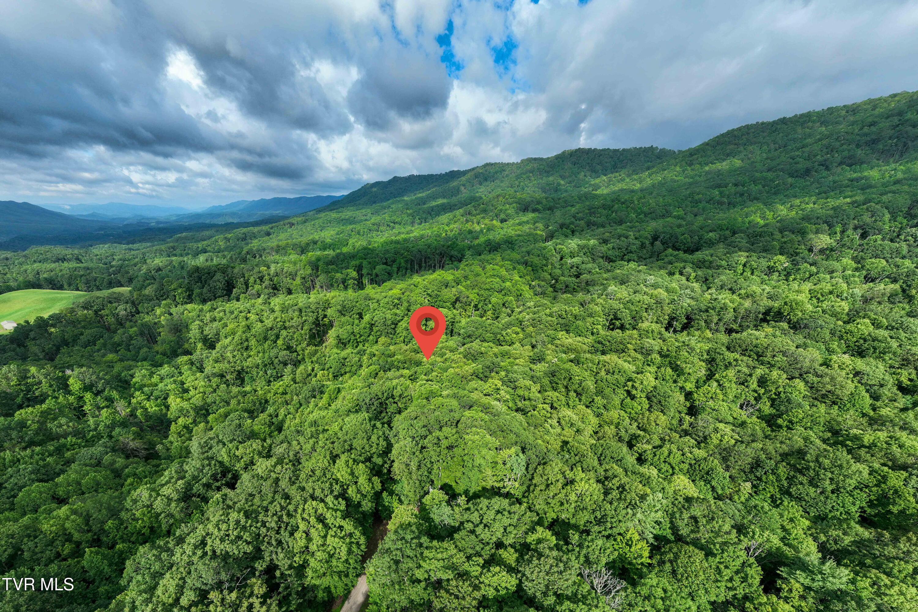 1501 Sprucy Ridge Private Road