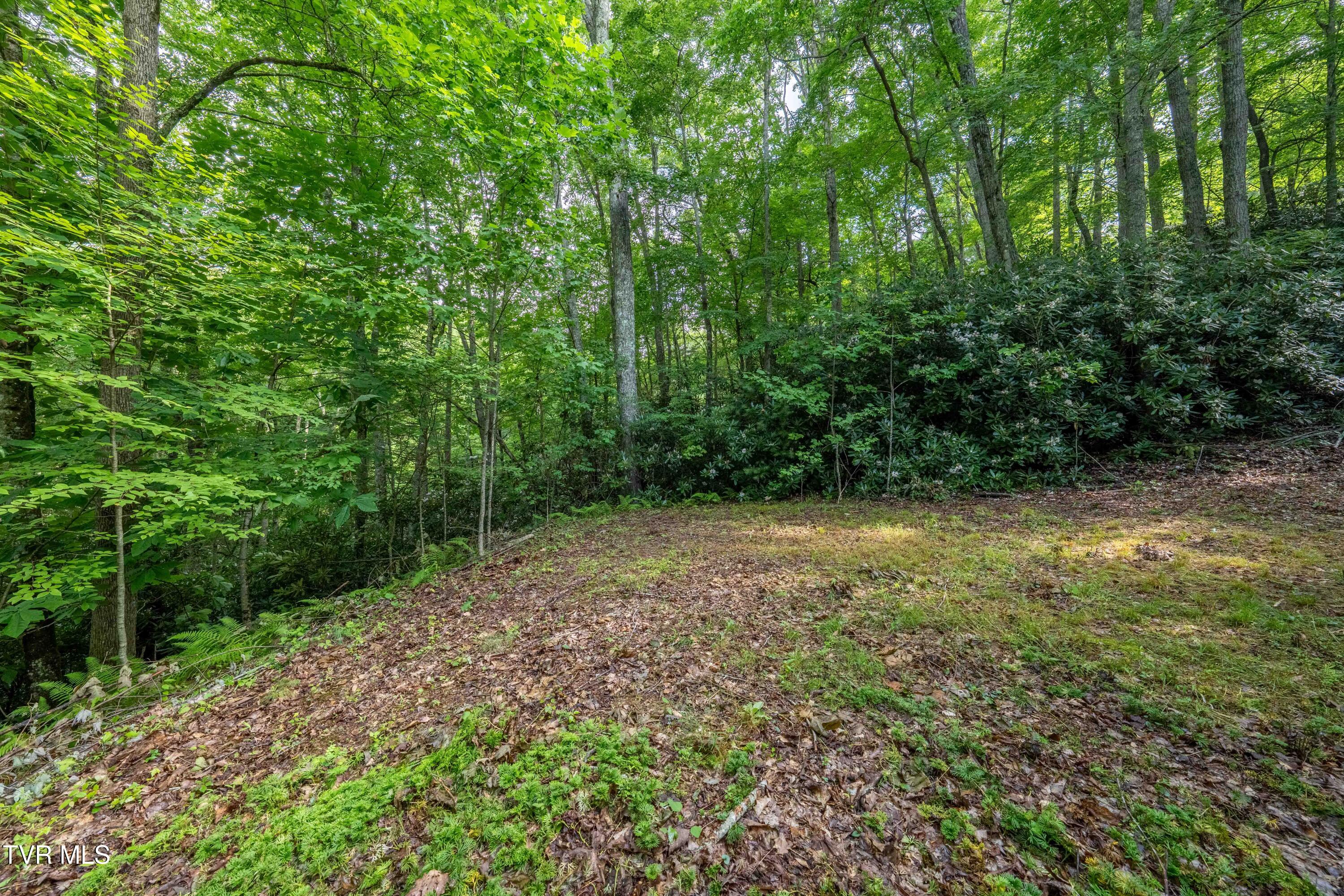 1501 Sprucy Ridge Private Road