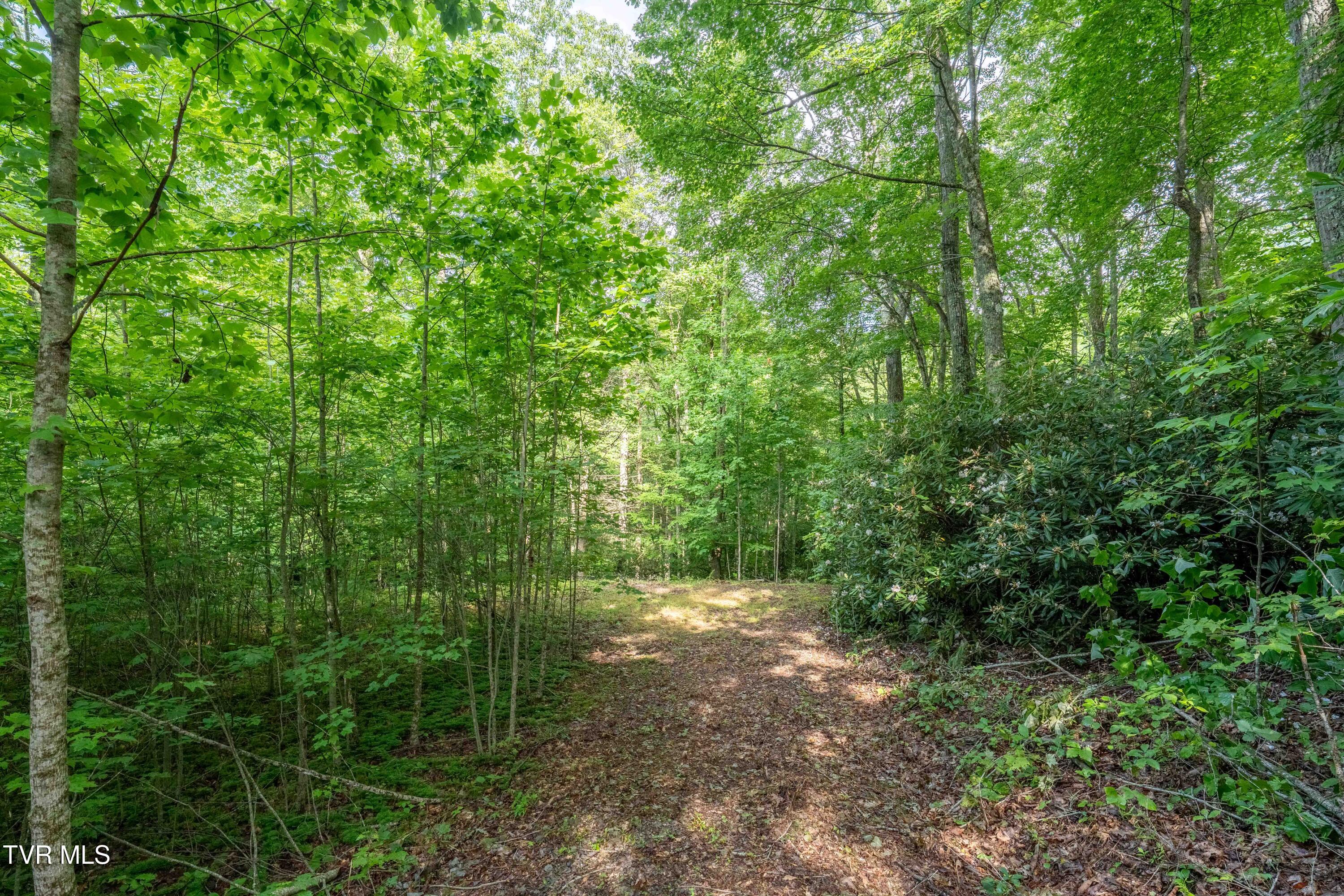 1501 Sprucy Ridge Private Road