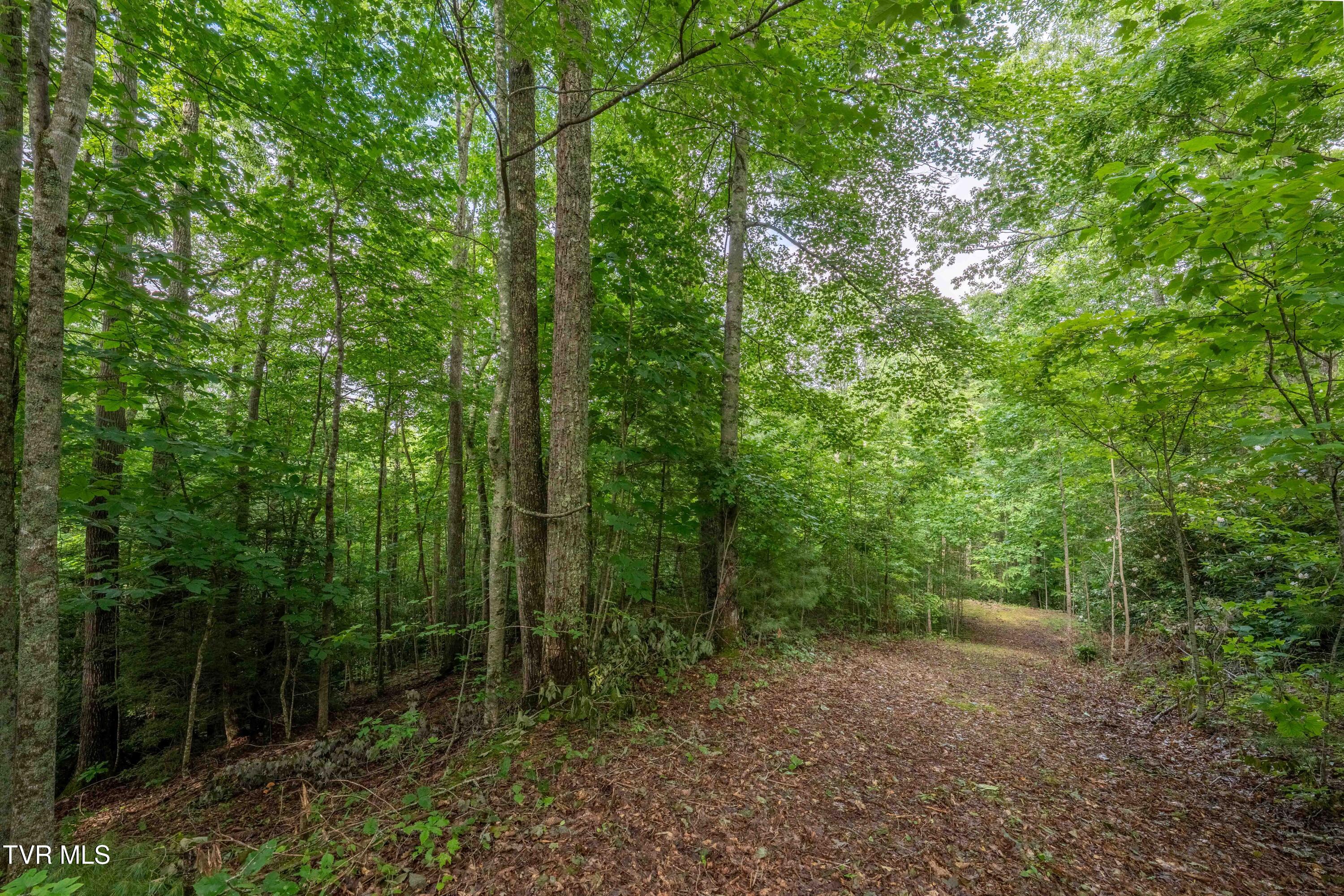 1501 Sprucy Ridge Private Road