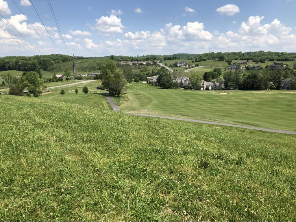 1104 Hawk Nest Court, Jonesborough