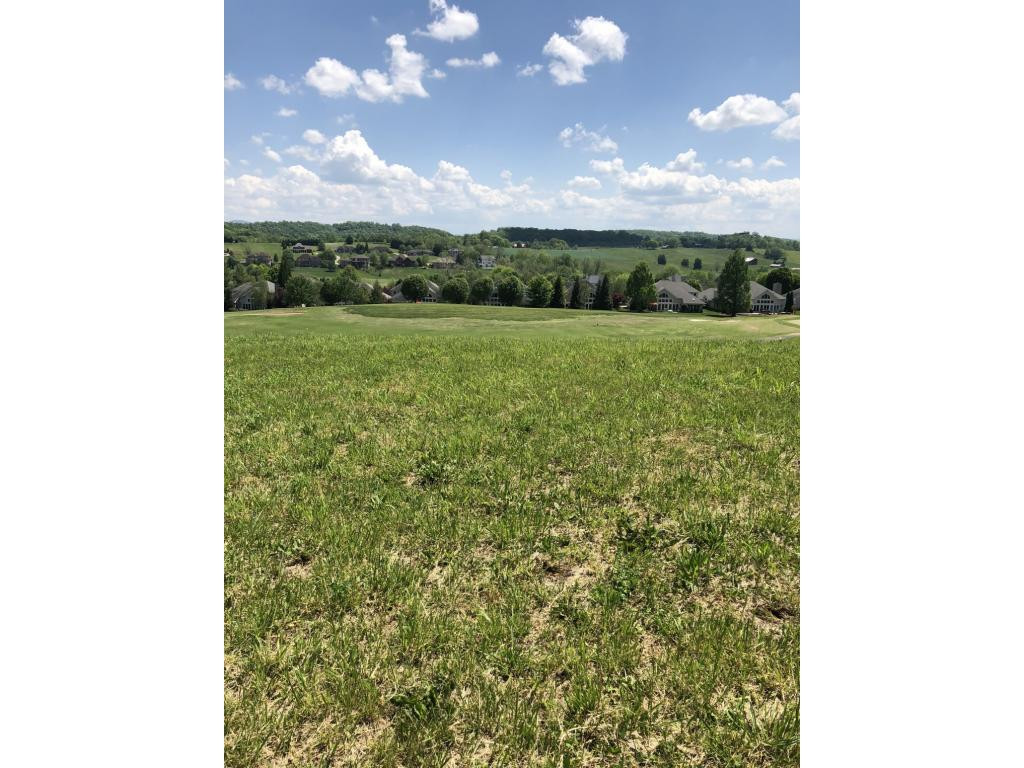 1104 Hawk Nest Court, Jonesborough