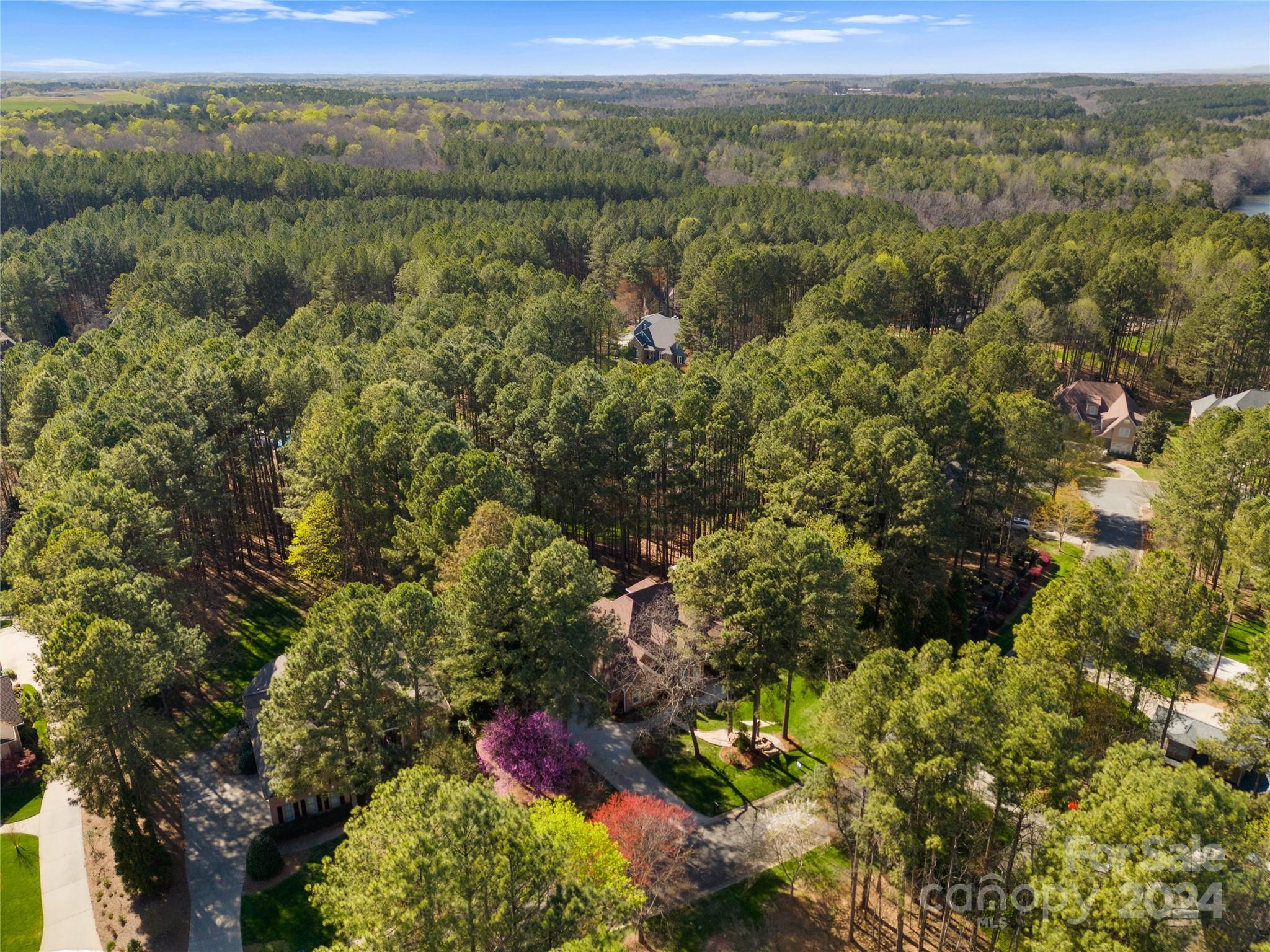 8909 Radford Court