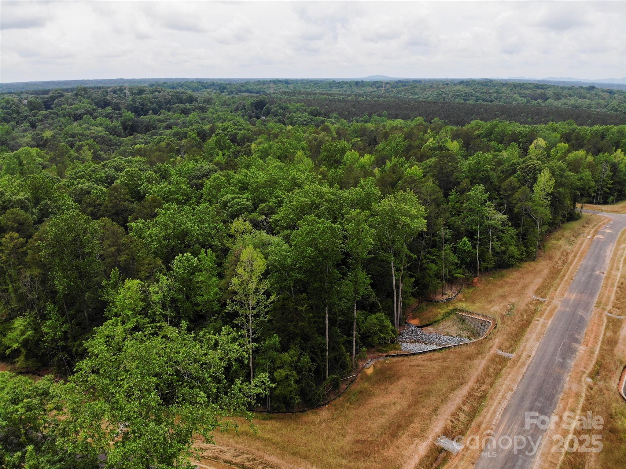 Lot 15 American Bittern Path