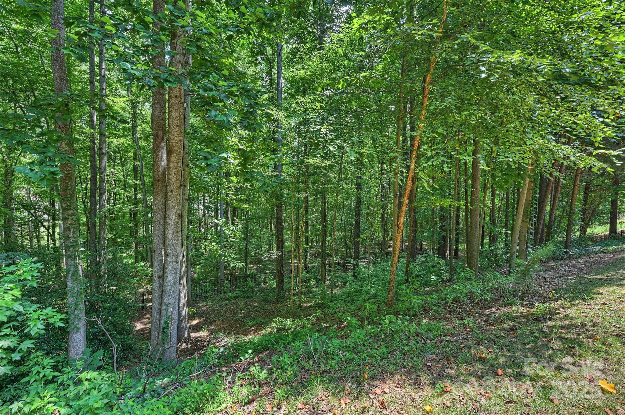 139 E Callicutt Trail