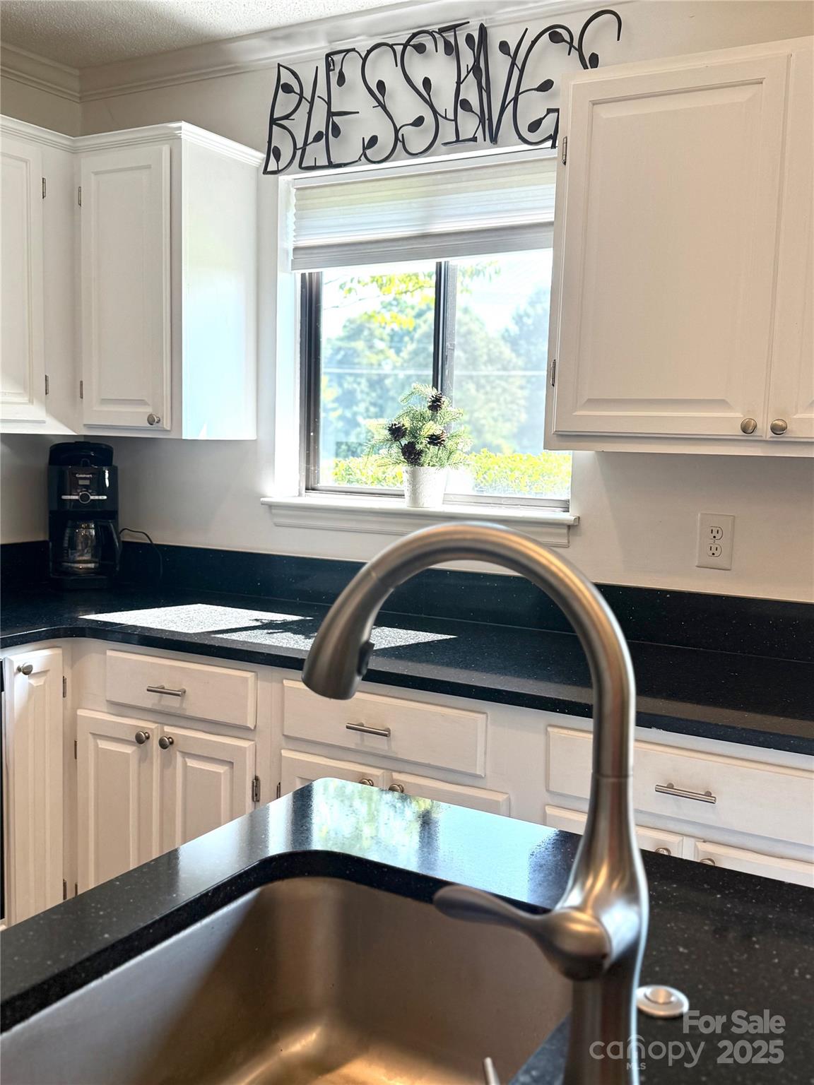 1011 Mallard Head Lane