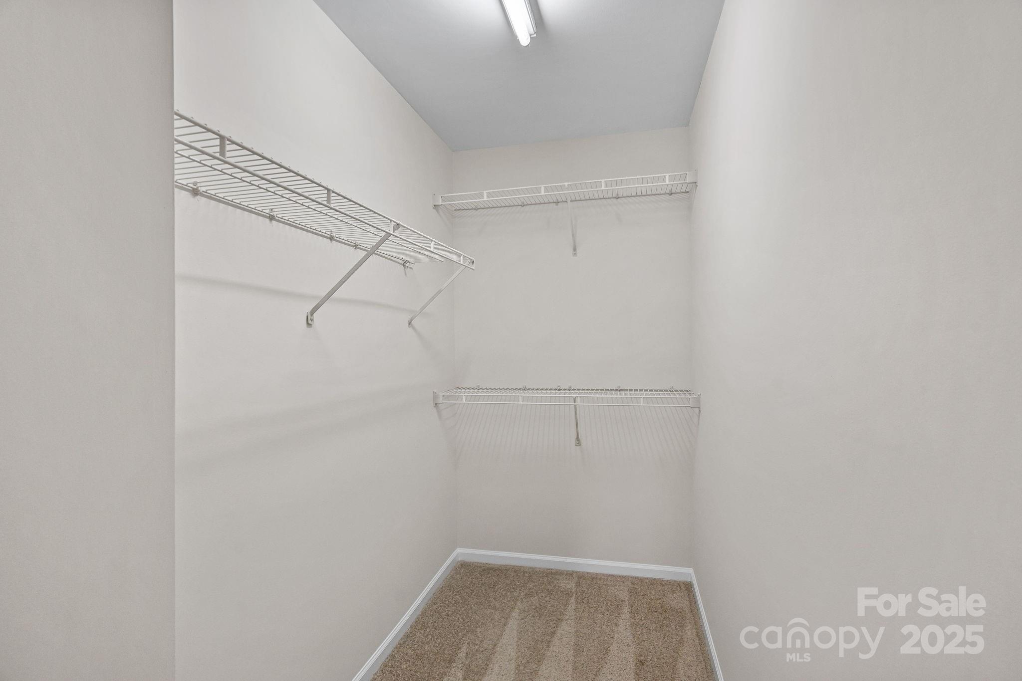 3016 Christian Scott Lane