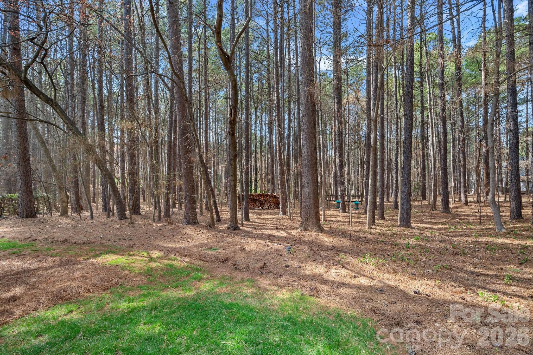115 Pine Cliff Lane
