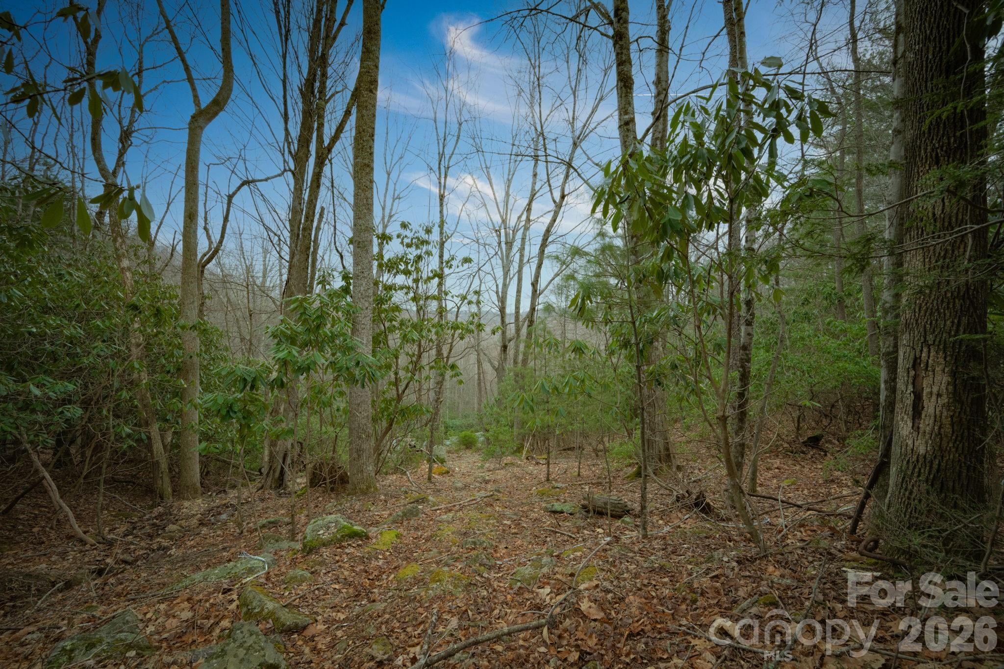 52 Poplar Drive Unit: 370