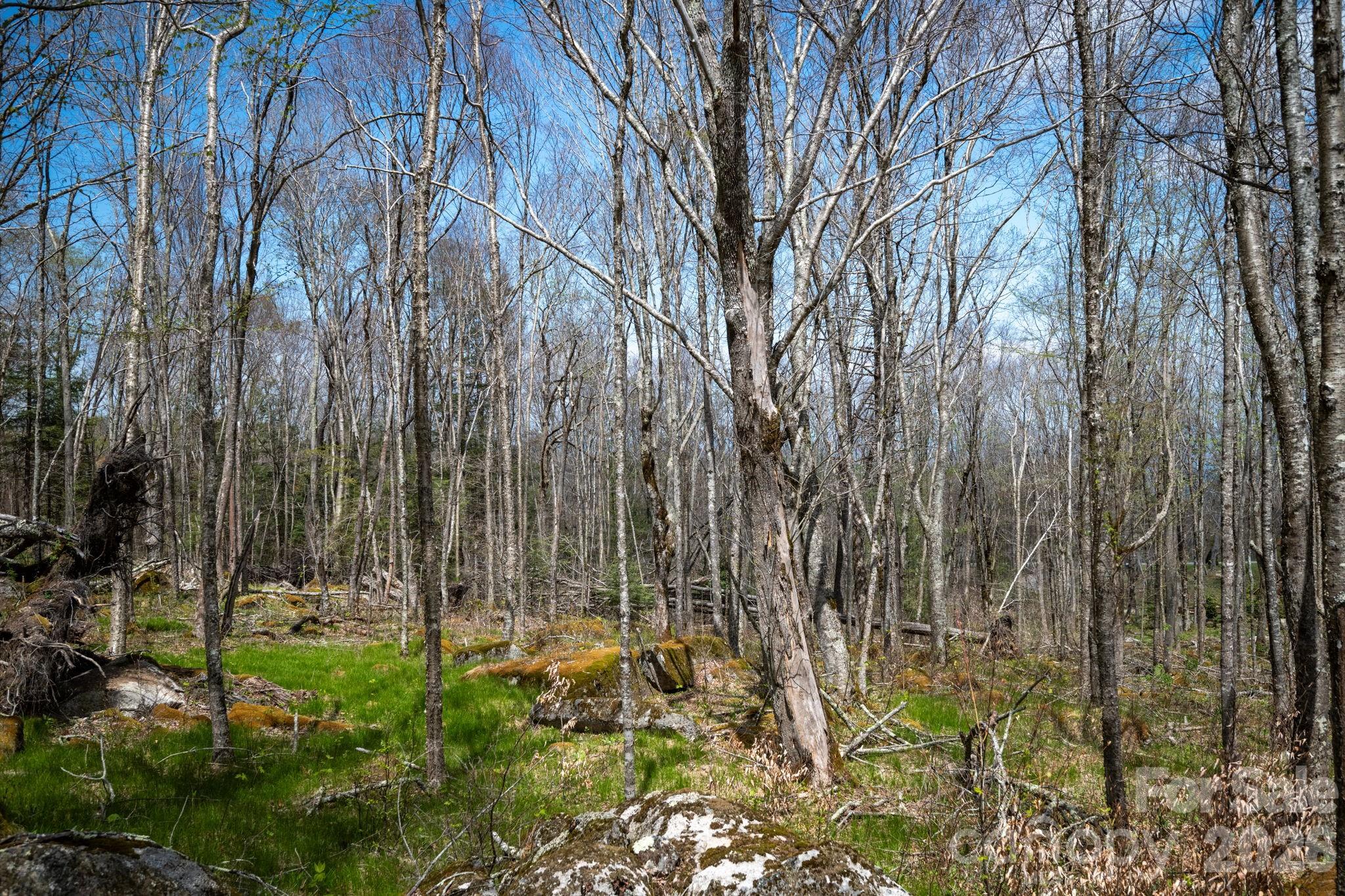 ES-21 Eagle Springs Trail