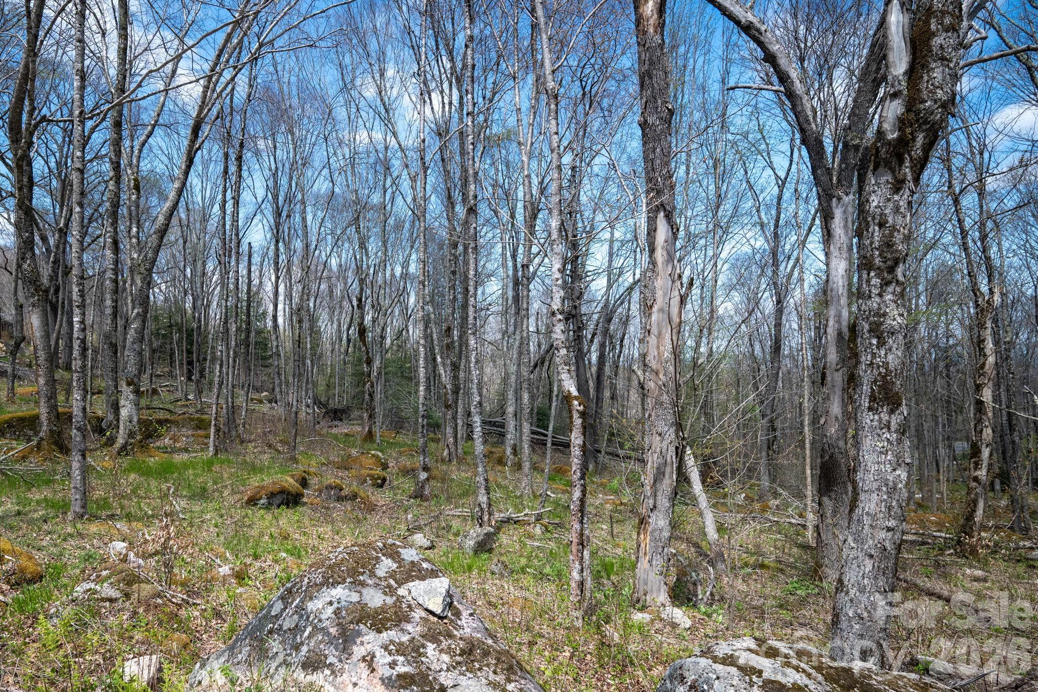 ES-21 Eagle Springs Trail