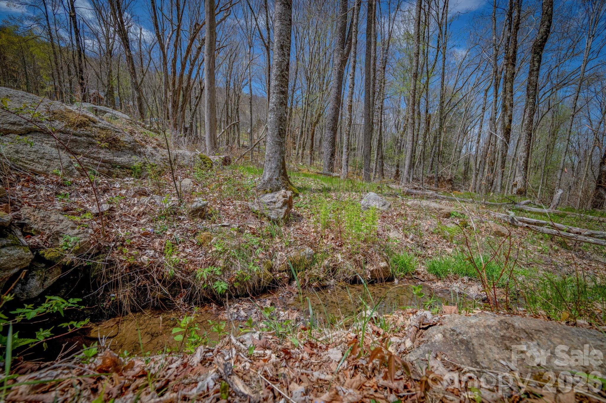 ES-21 Eagle Springs Trail
