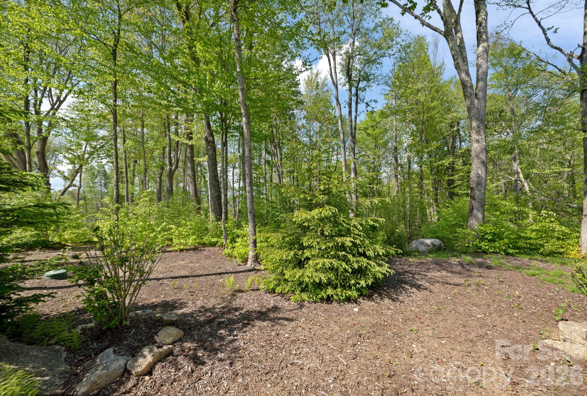 576 Eagle Springs Trail