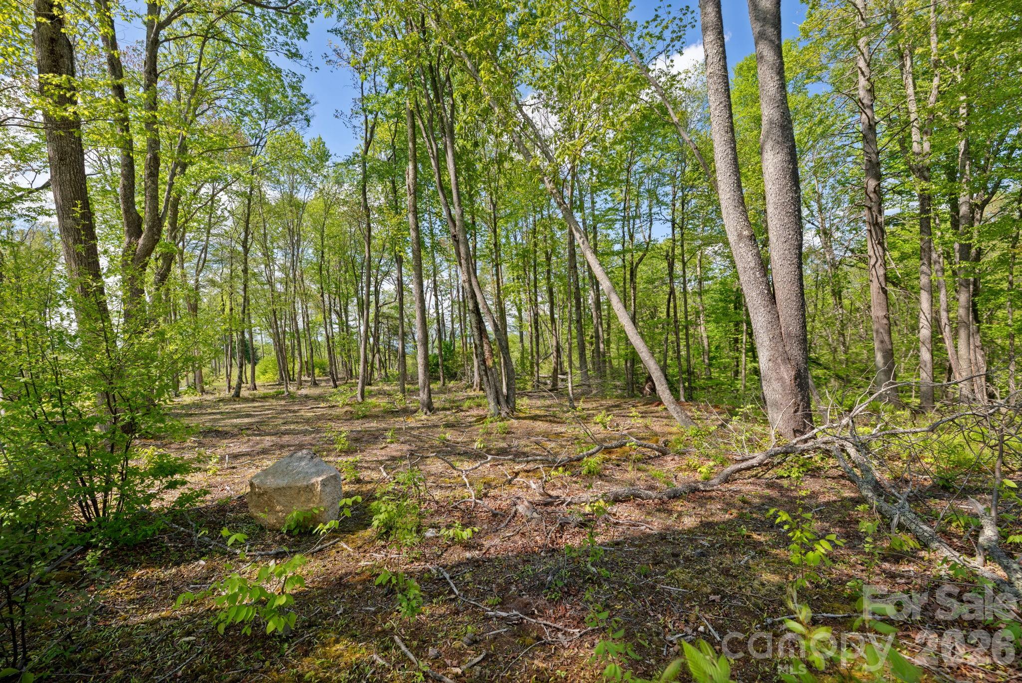 576 Eagle Springs Trail