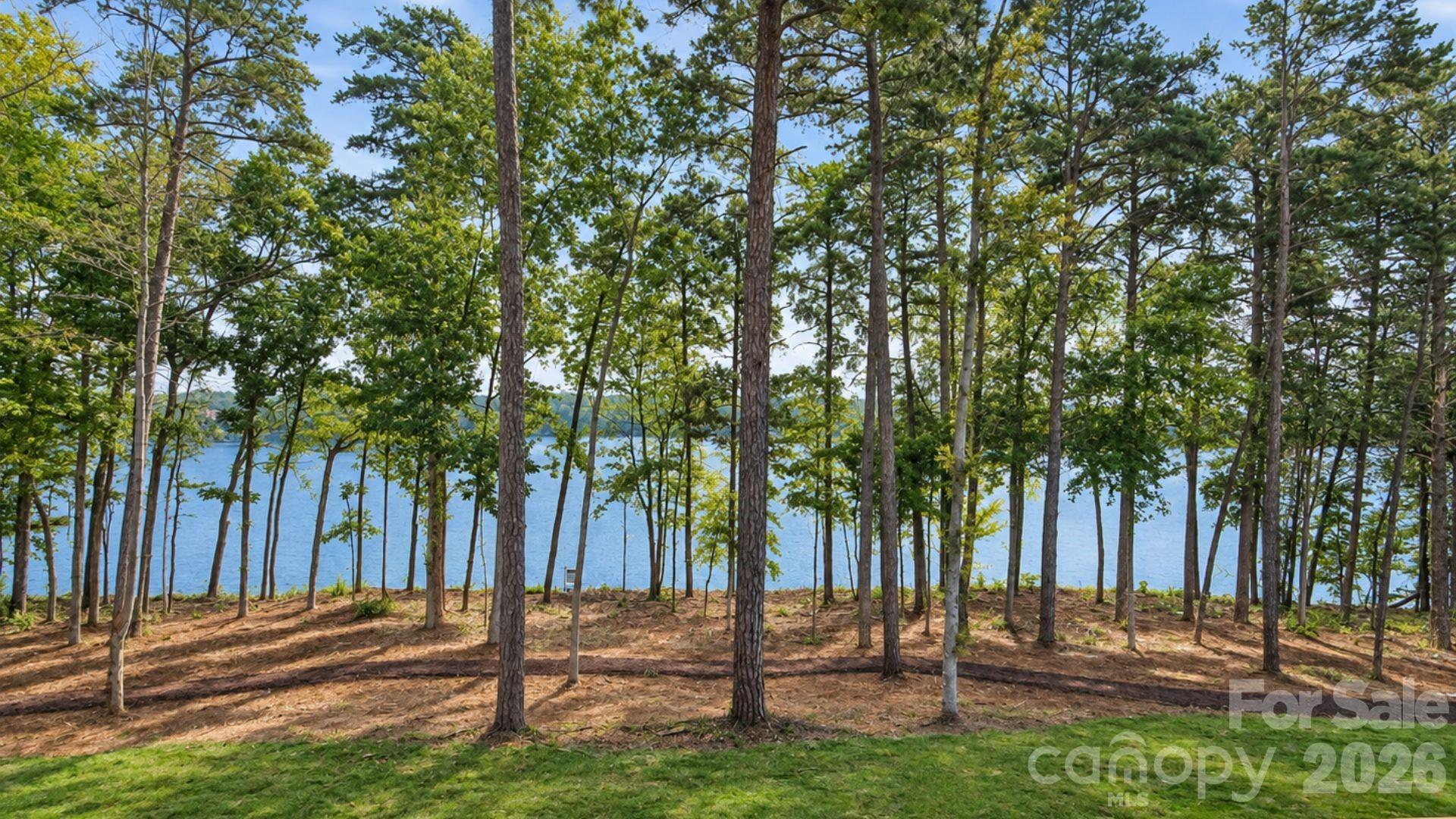 4531 Splash Trail