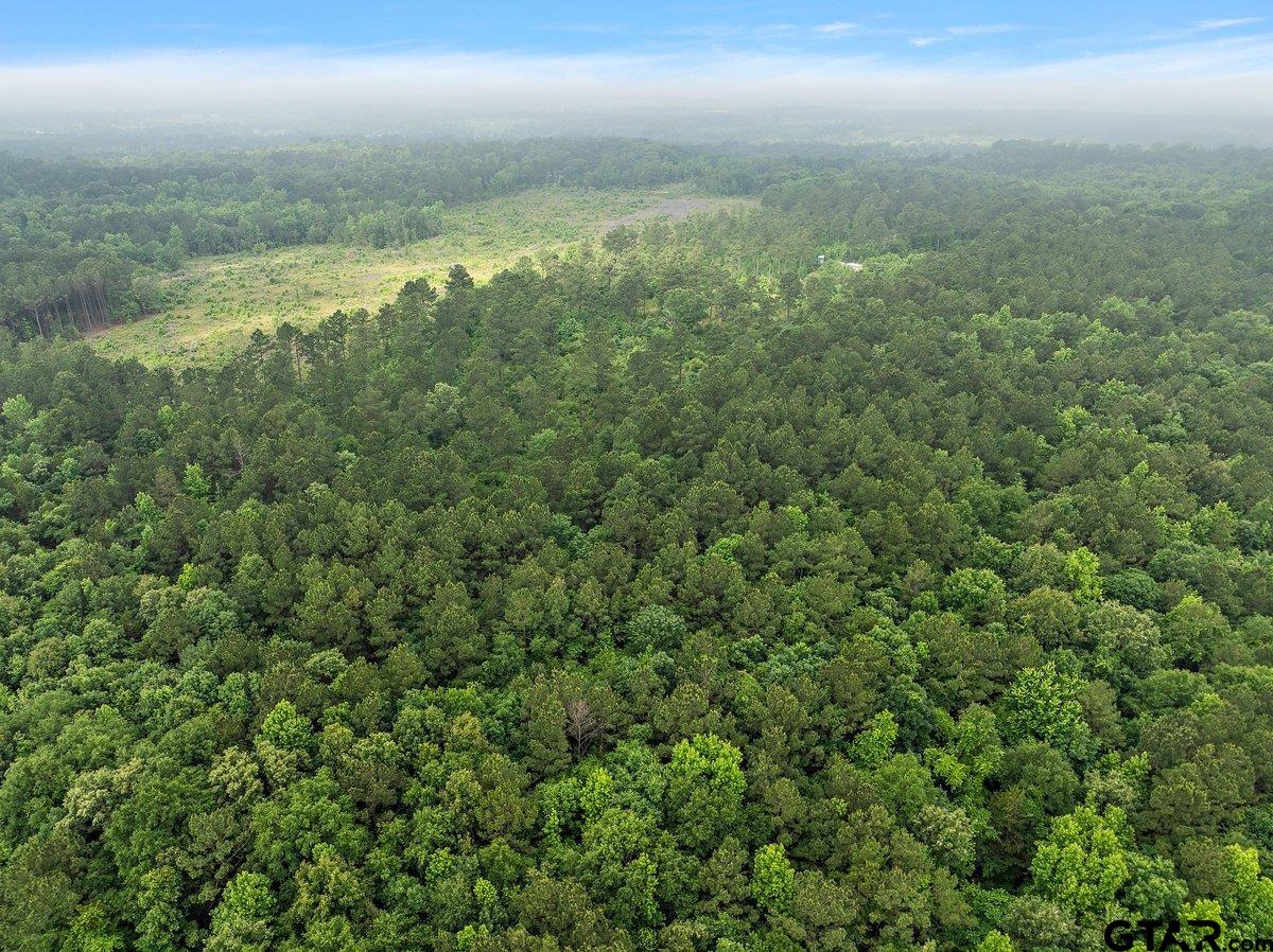 2683 County Road 1106