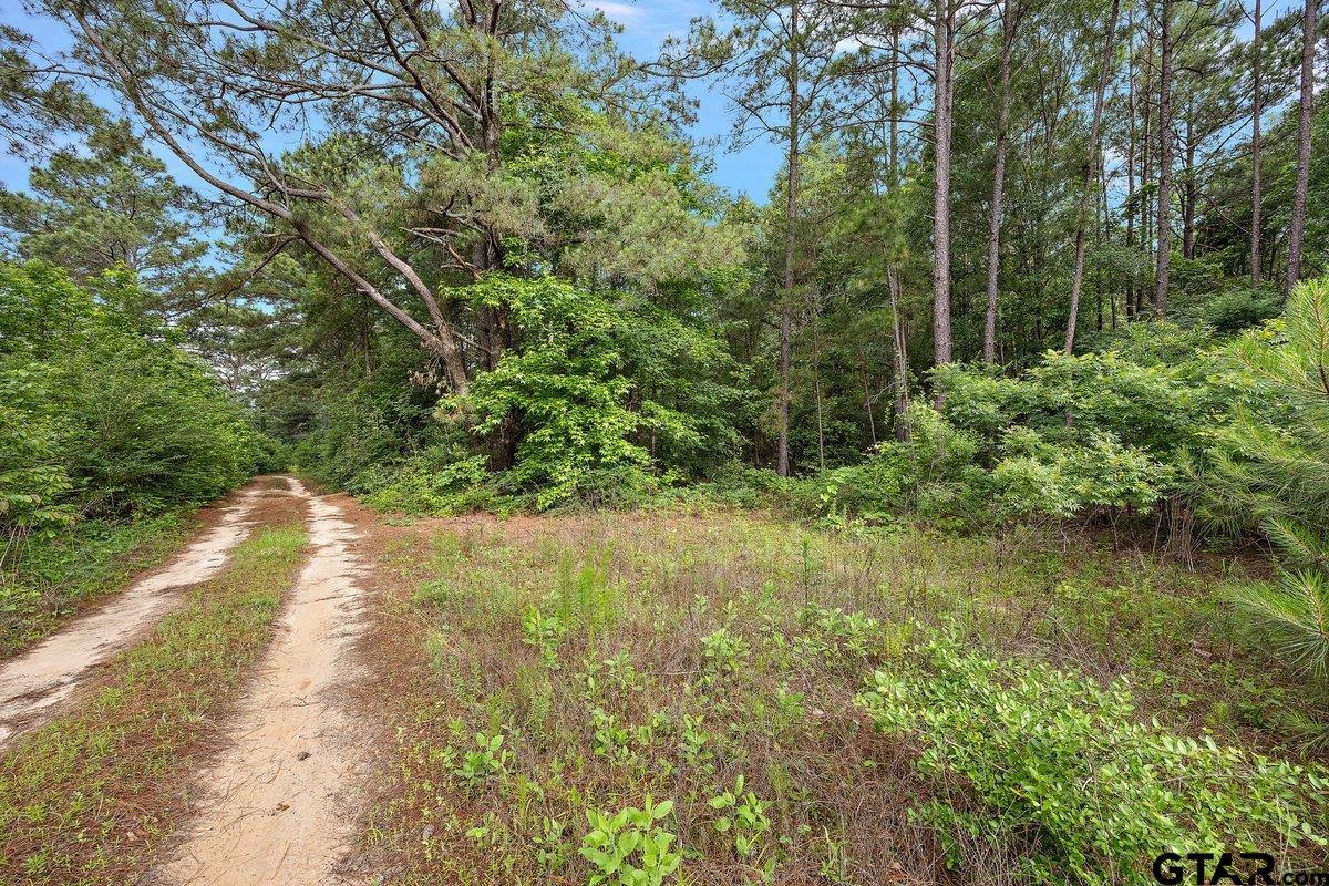 2683 County Road 1106