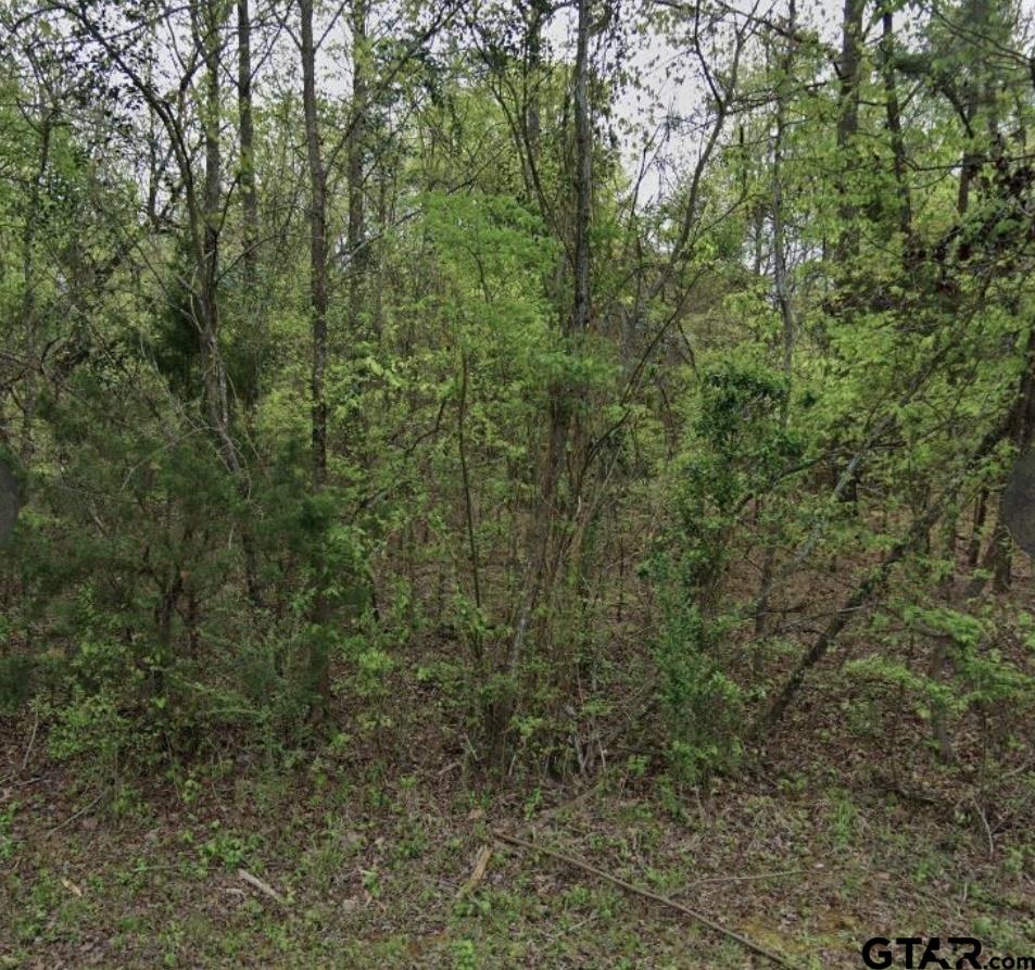 TBD 2-acres