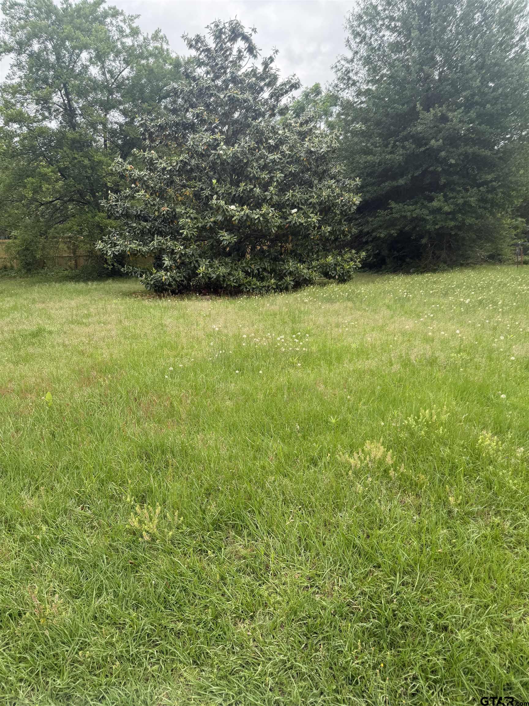 TBD Hamrick St