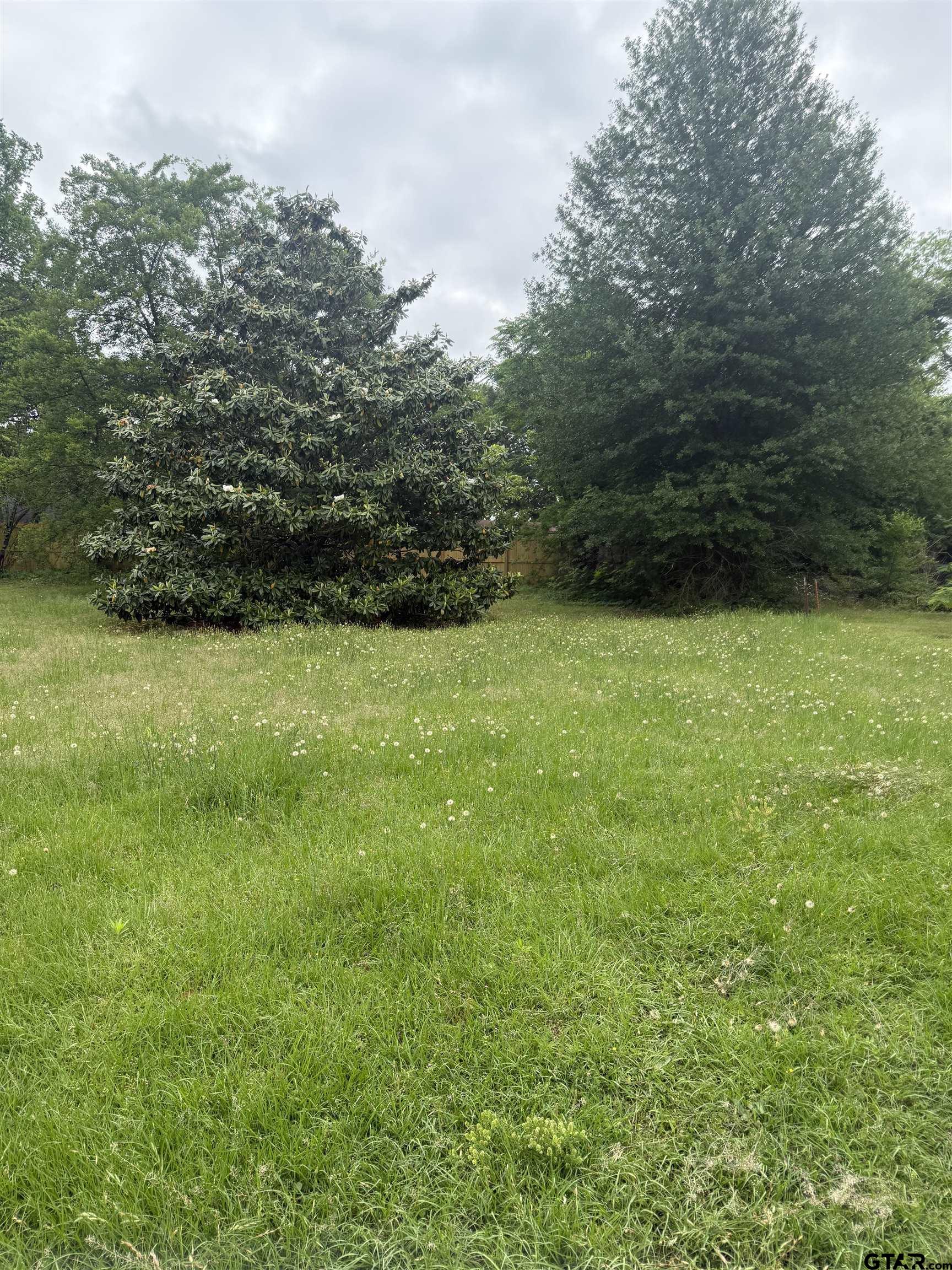TBD Hamrick St
