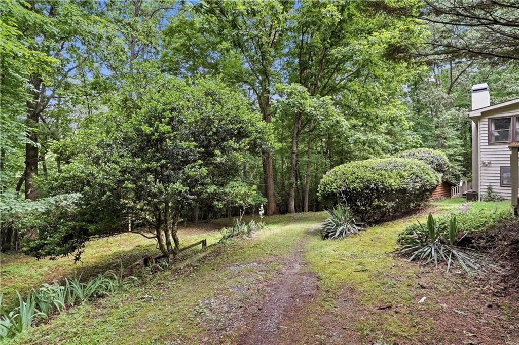 988 Woodland
