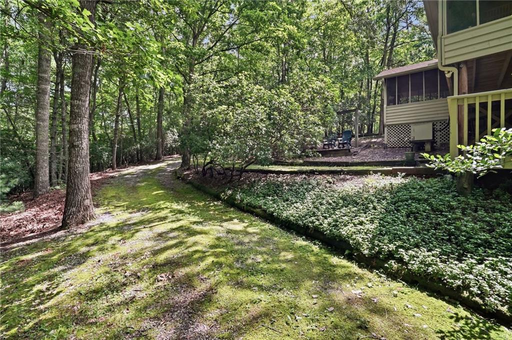 988 Woodland