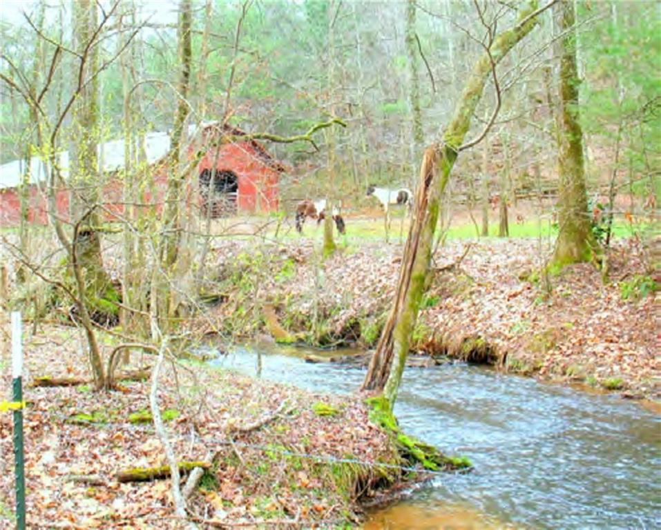 988 Woodland
