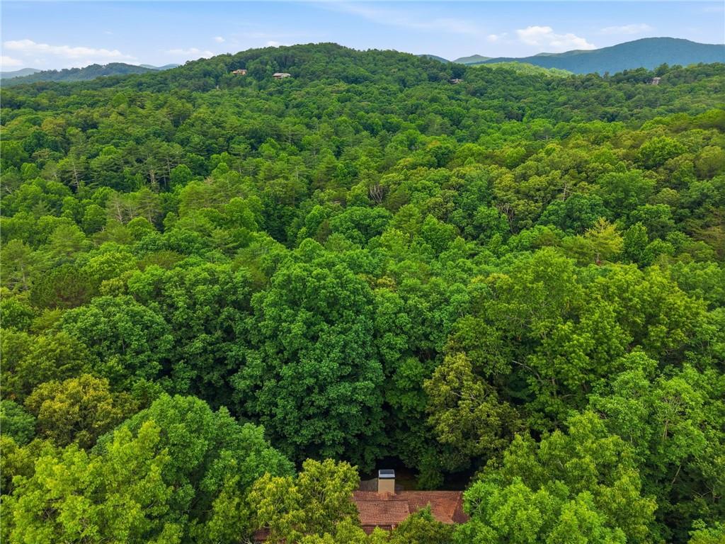 988 Woodland