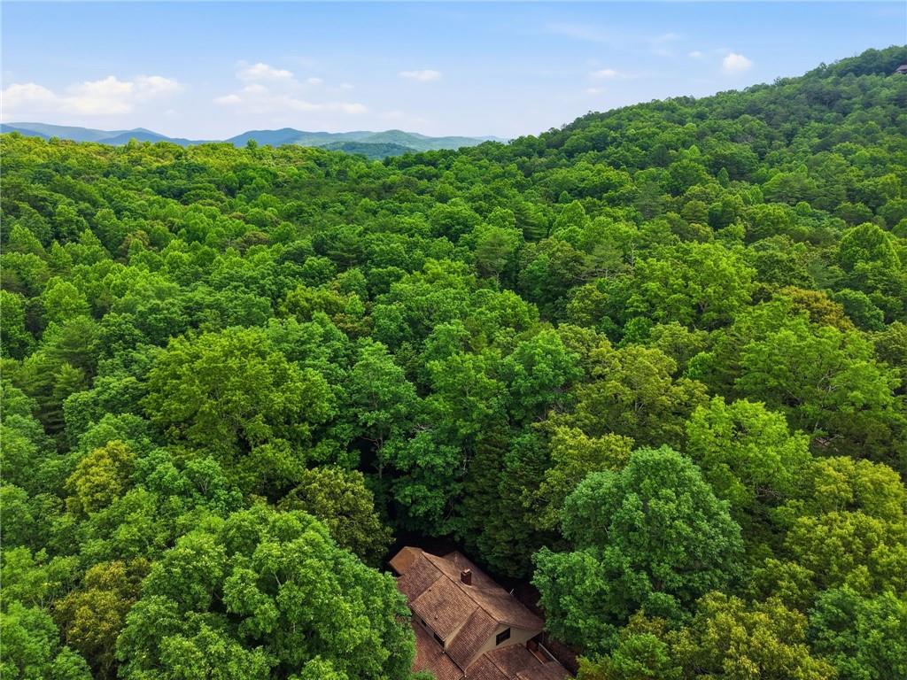 988 Woodland