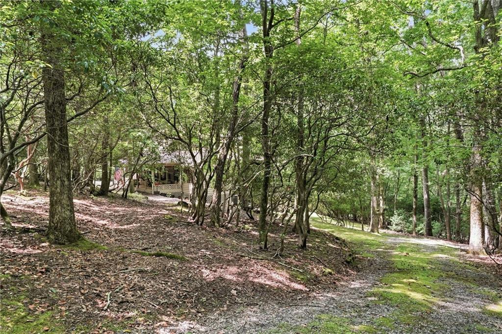 988 Woodland