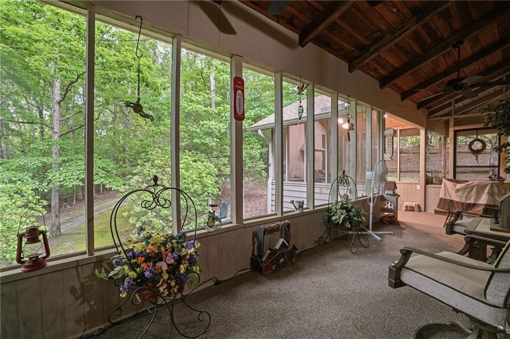 988 Woodland