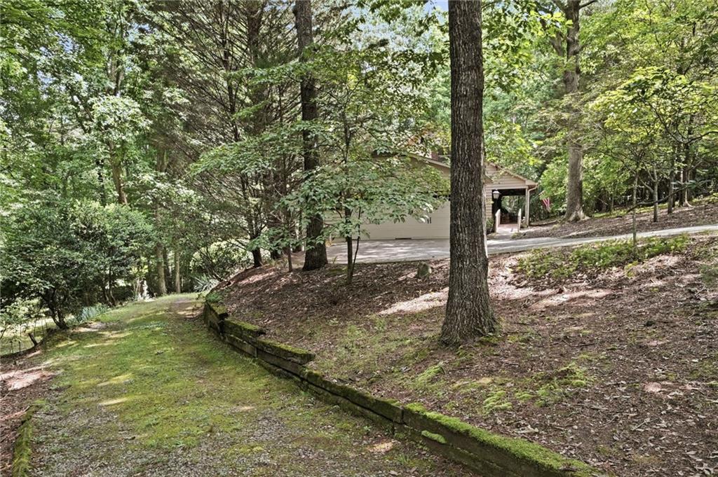 988 Woodland