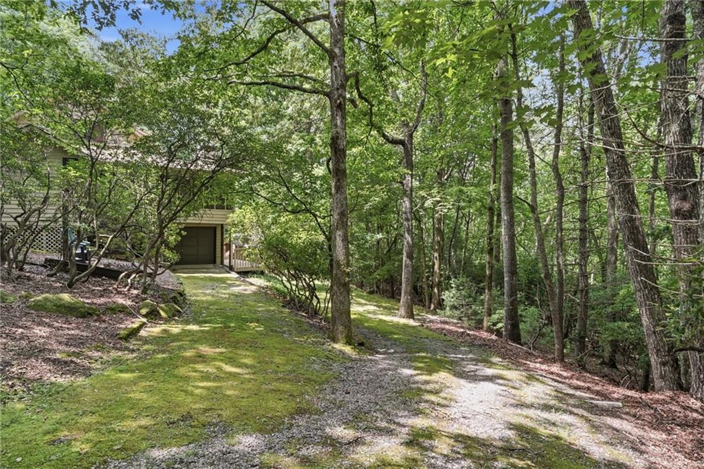 988 Woodland
