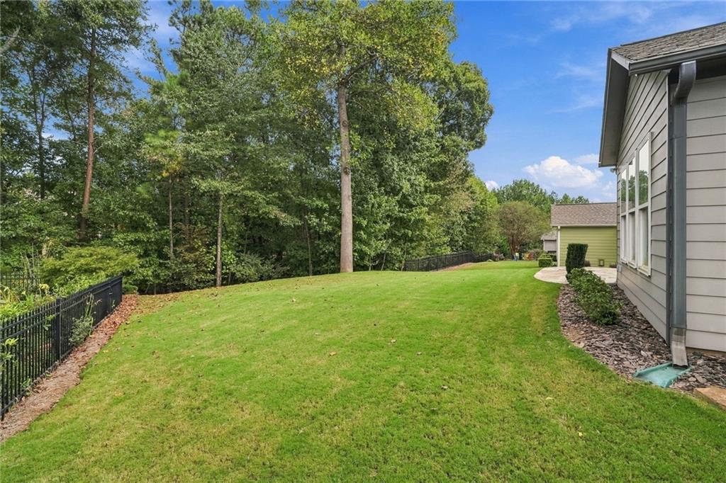 3217 Black Gum Lane SW