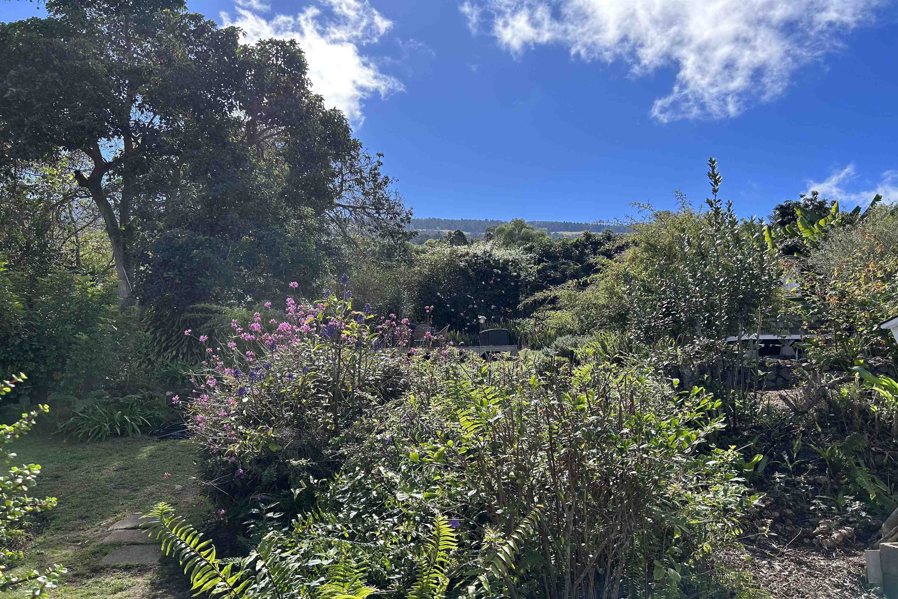 16 Maukanani Rd